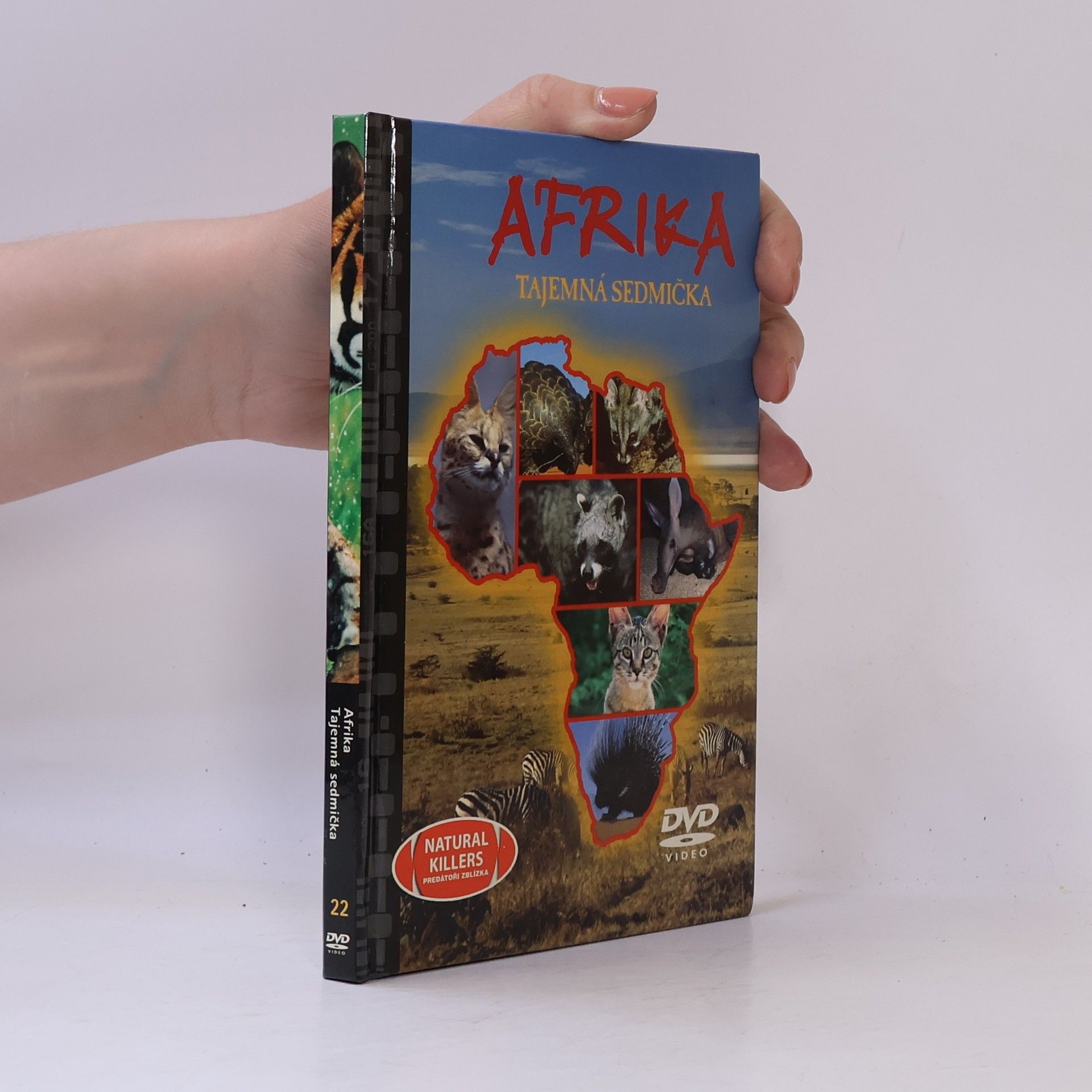 Auteurscollectief Afrika. Tajemná sedmička