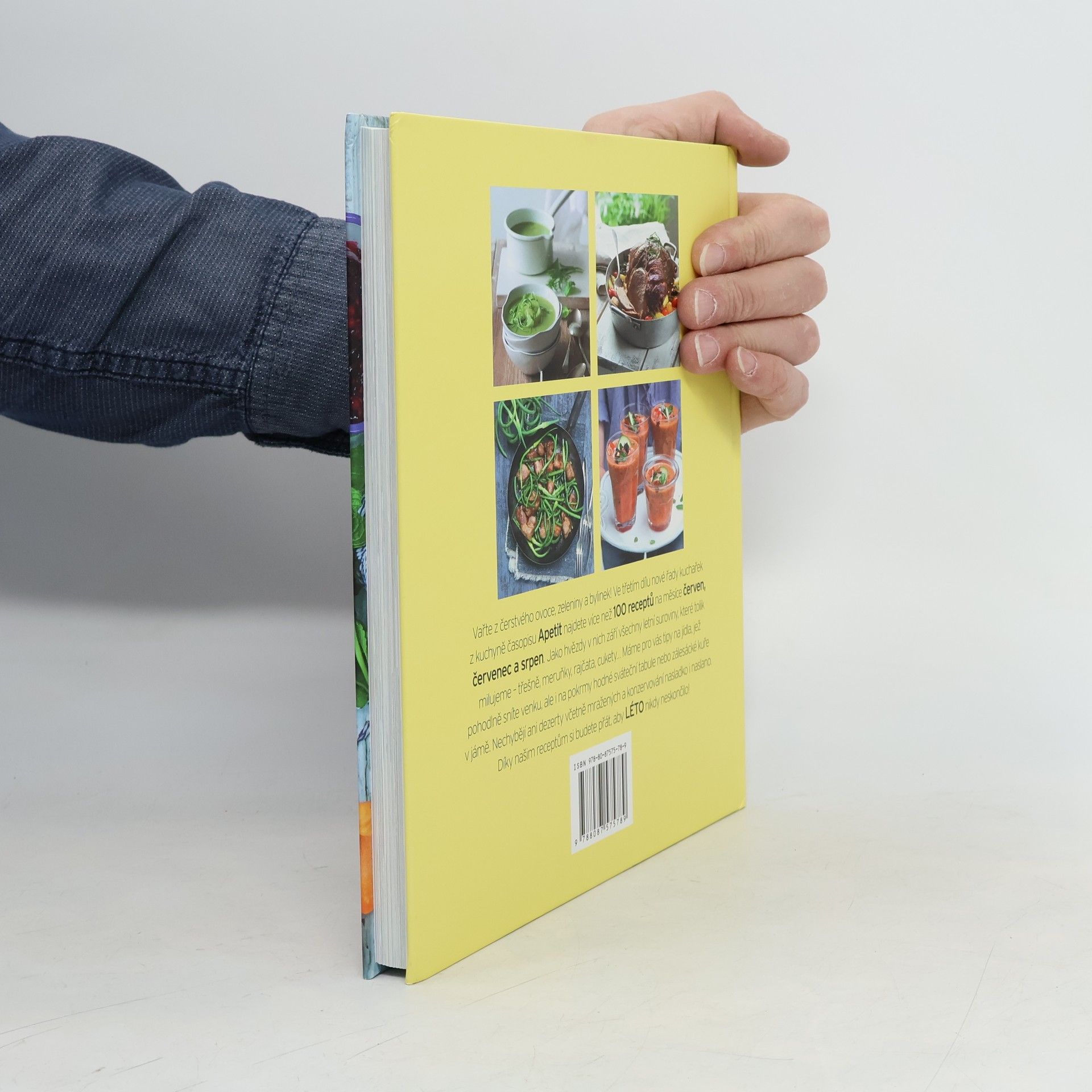 Autores varios Léto: Recepty ze zralého ovoce a čerstvé zeleniny