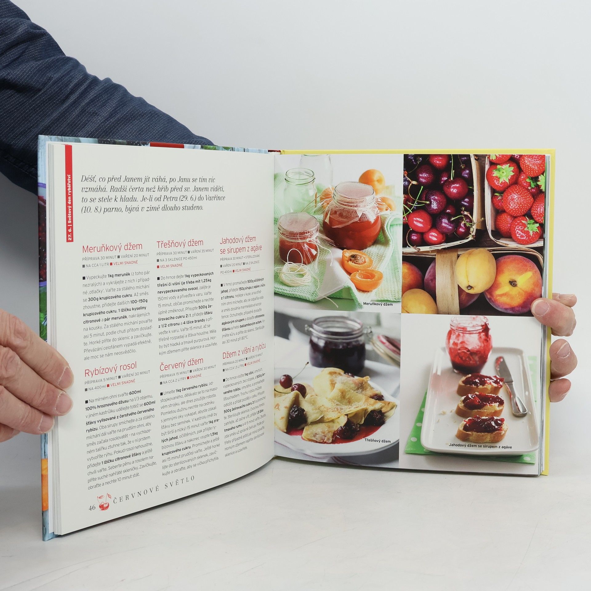 Autores varios Léto: Recepty ze zralého ovoce a čerstvé zeleniny