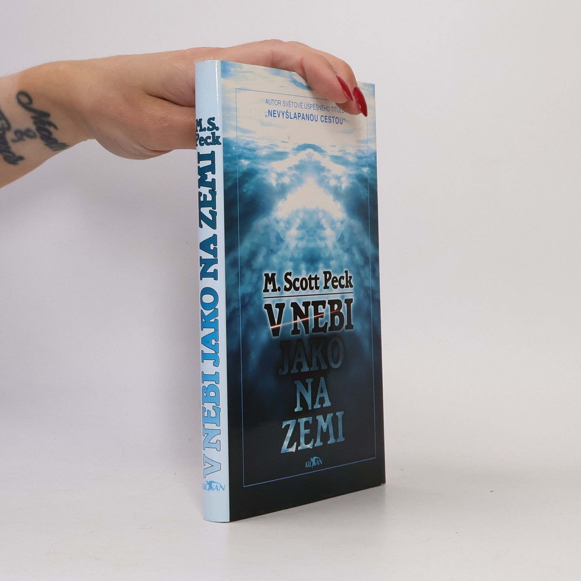 Irena Palová V nebi jako na zemi