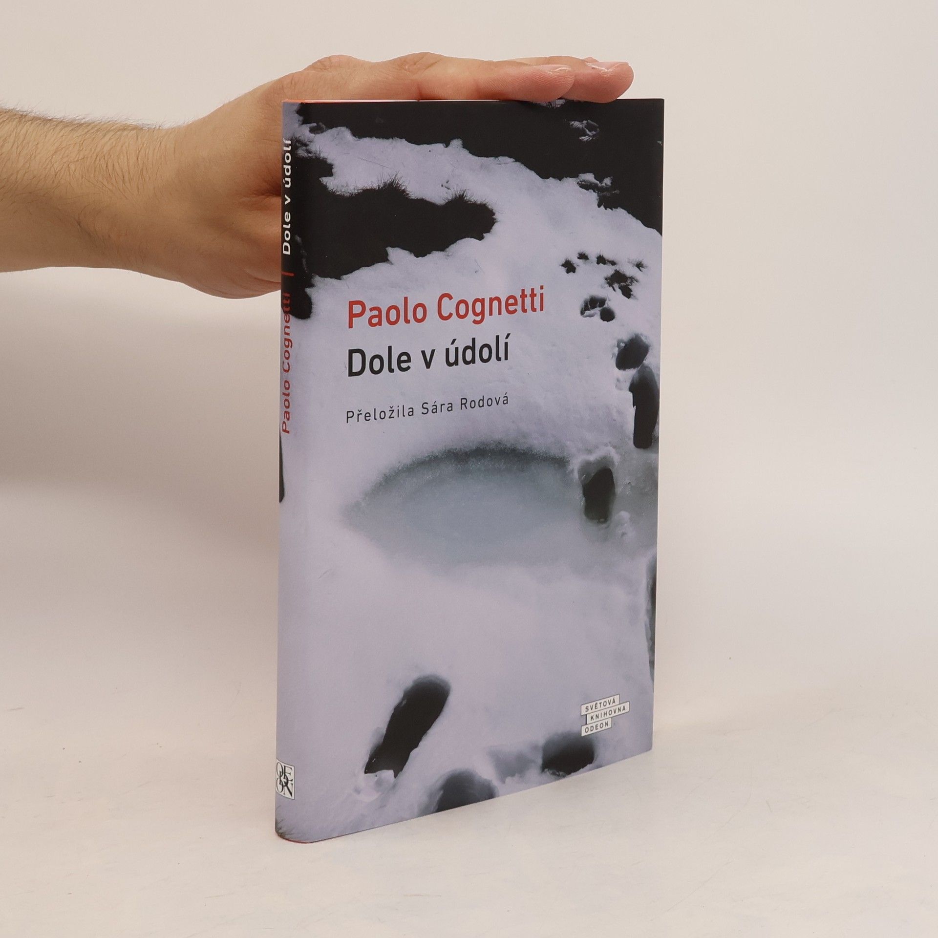 Paolo Cognetti Dole v údolí