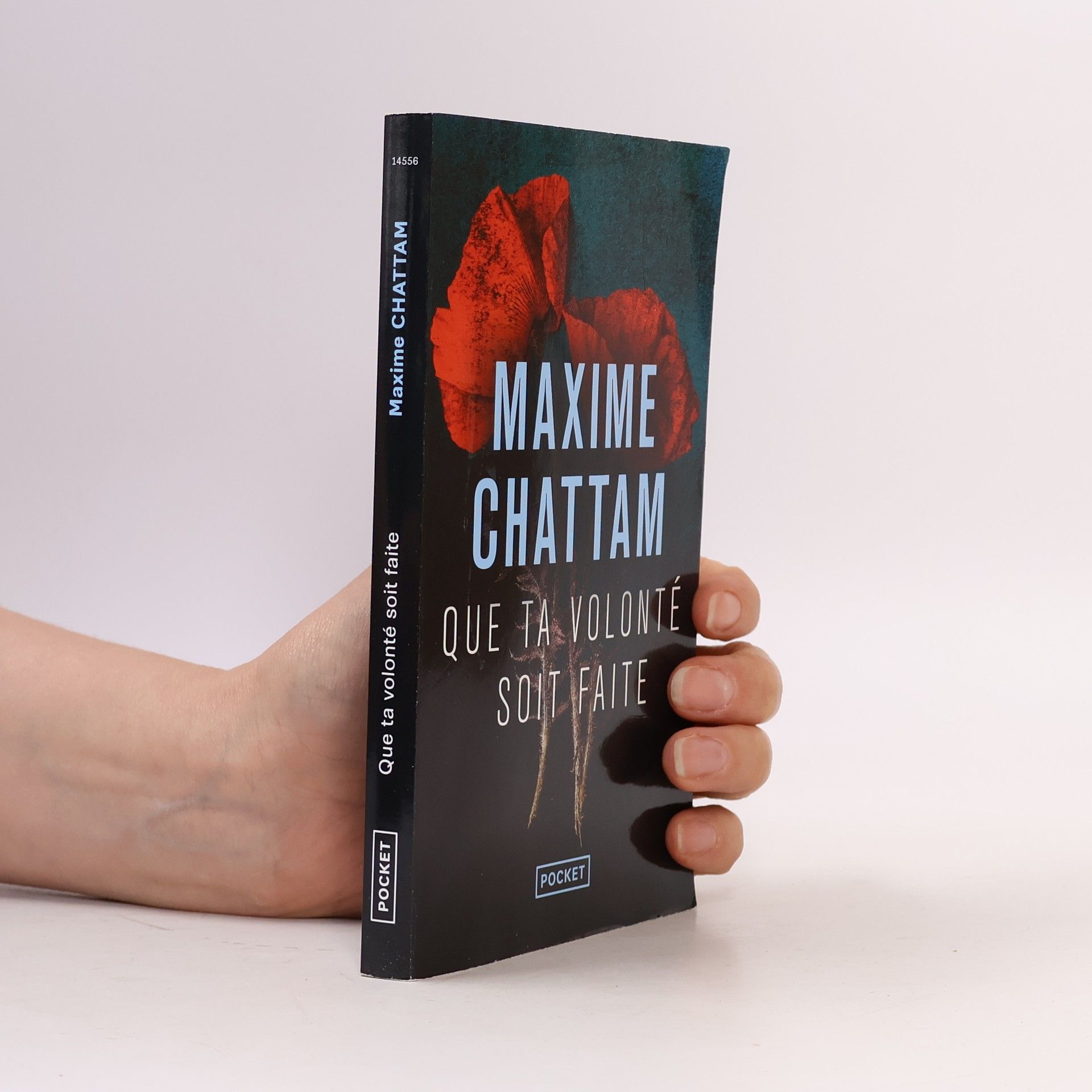 Maxime Chattam Que ta volonté soit faite