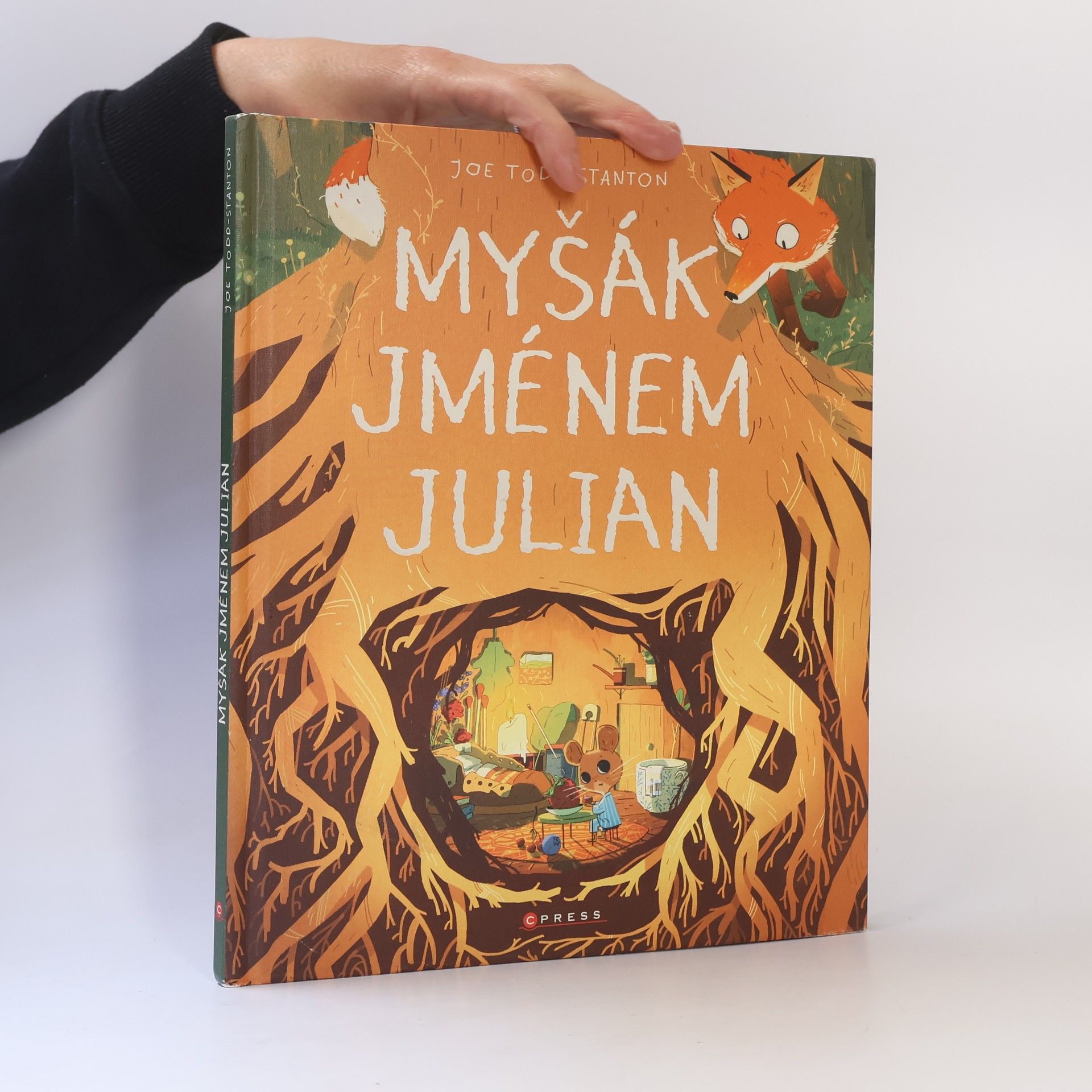 Joe Todd-Stanton Myšák jménem Julian