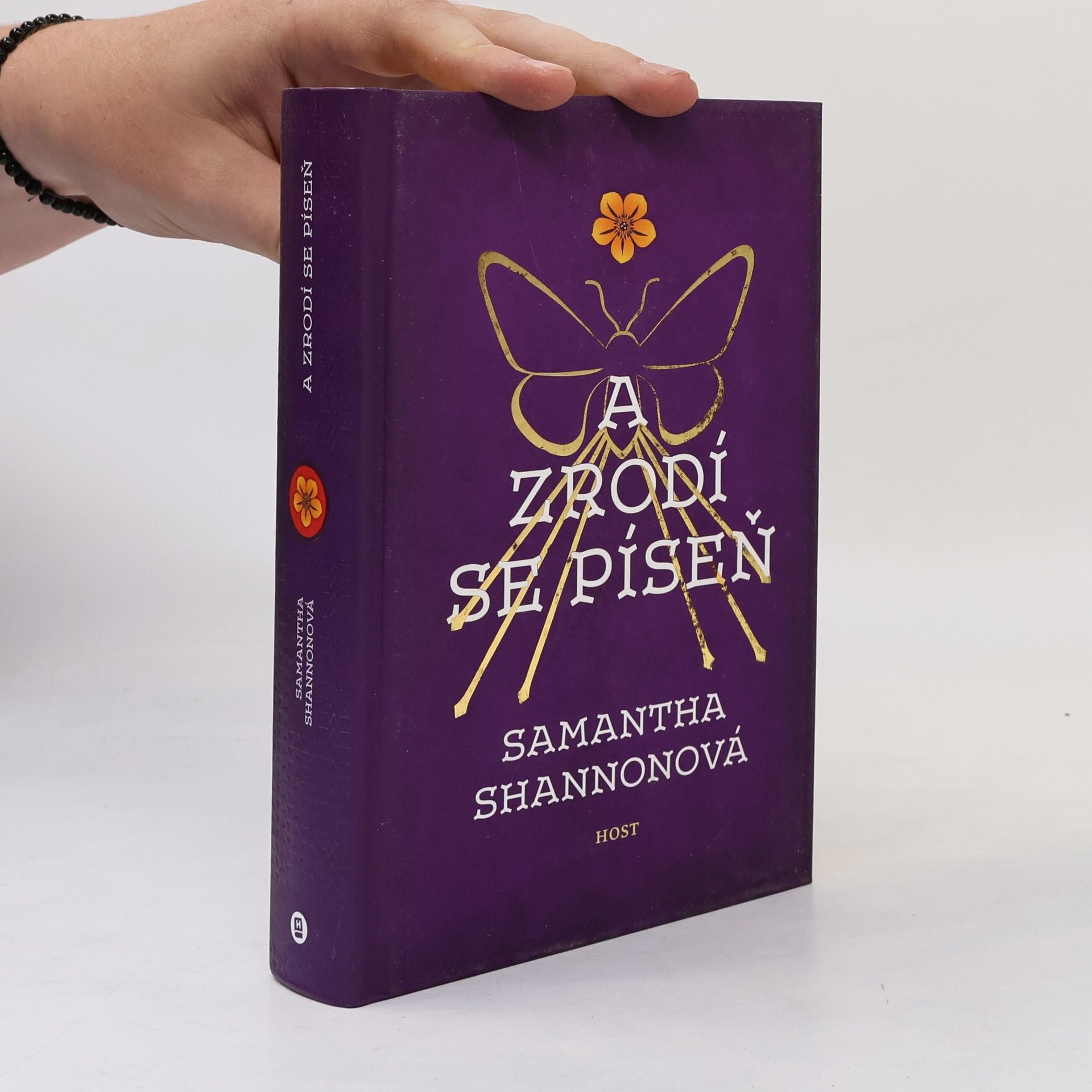 Samantha Shannon A zrodí se píseň