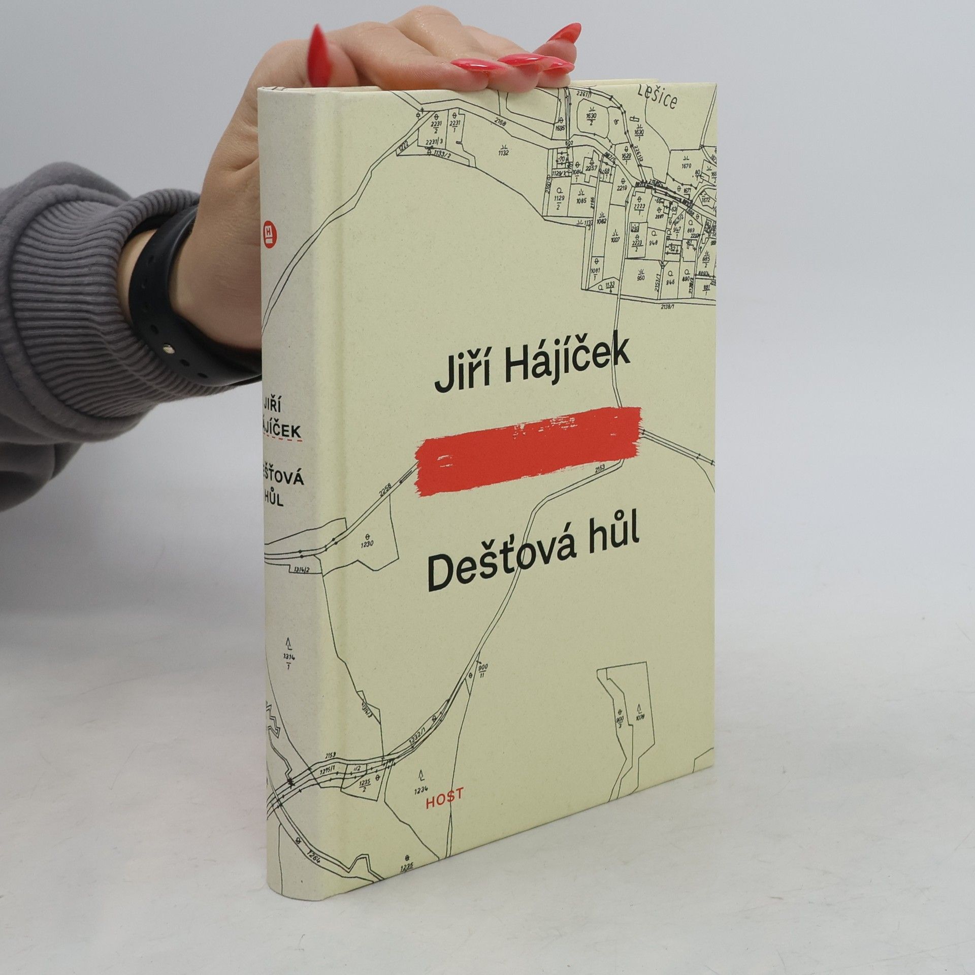 Jiří Hájíček Dešťová hůl
