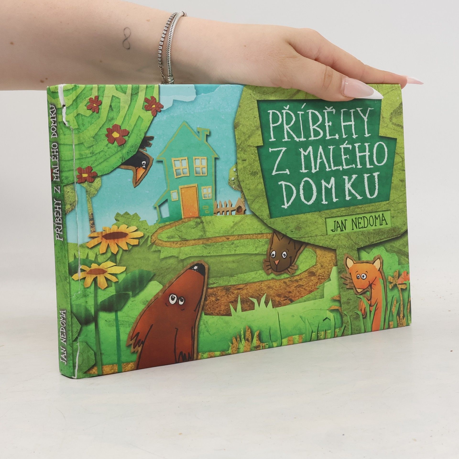 Jan Nedoma Příběhy z malého domku
