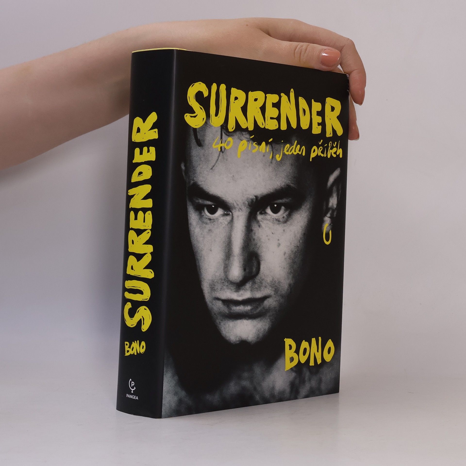 Bono Surrender : 40 písní, jeden příběh