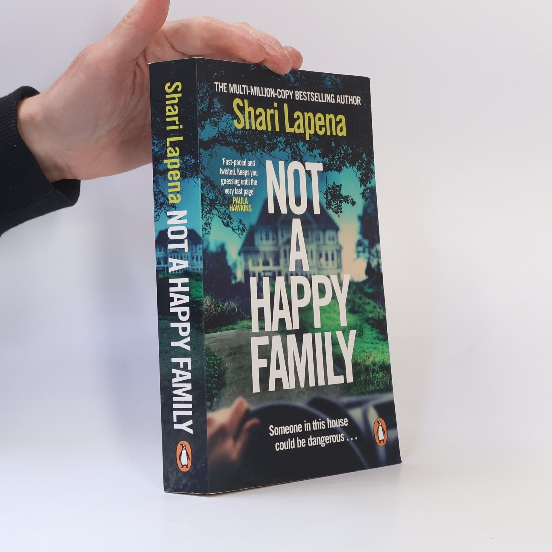 Shari Lapena Not a Happy Family