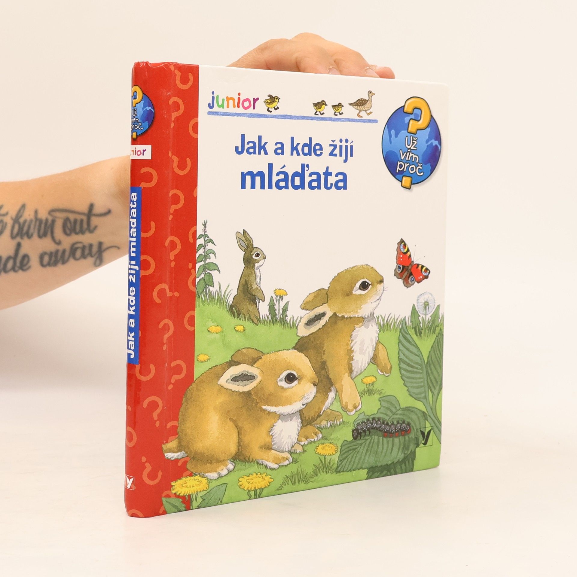 Andrea Erne Jak a kde žijí mláďata