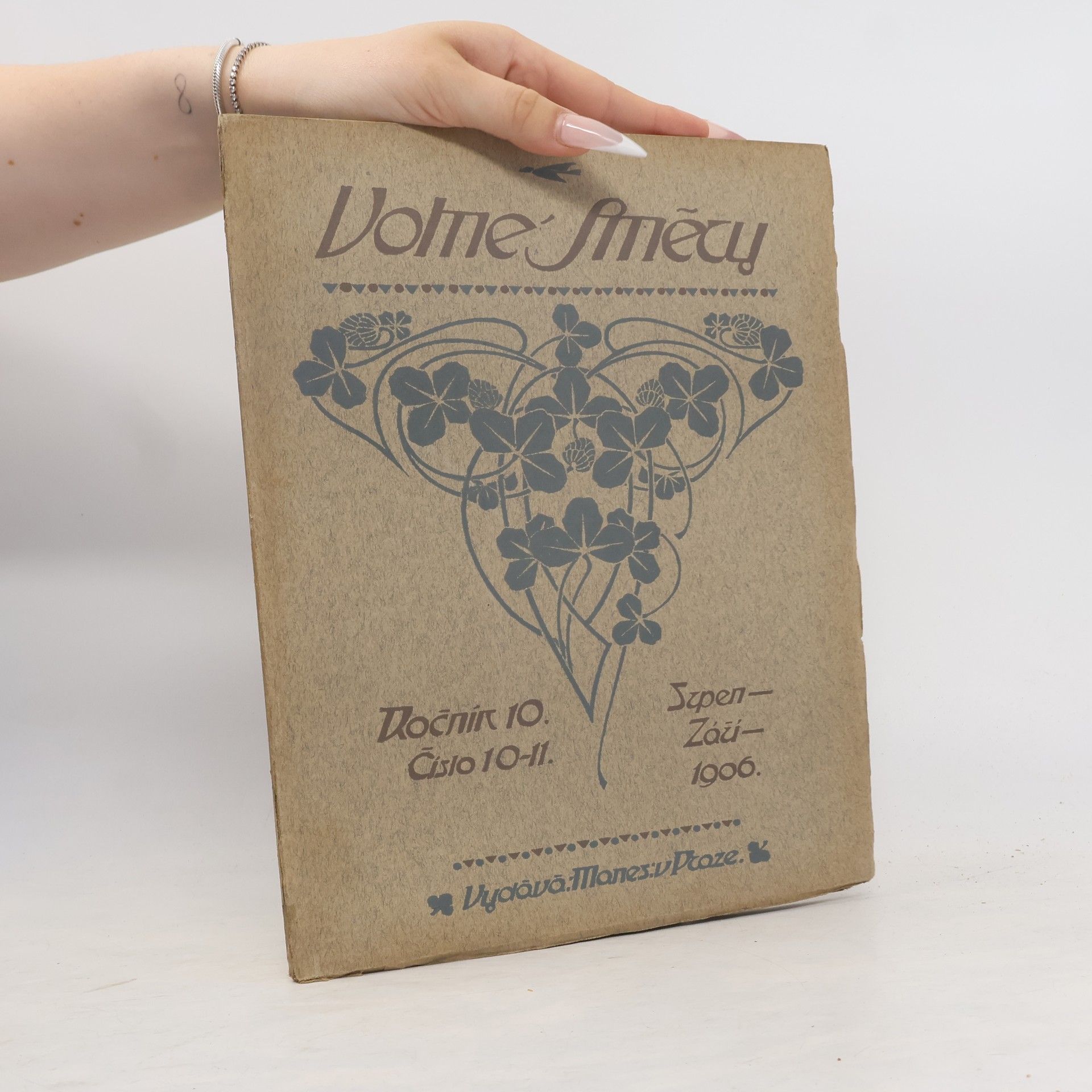 Autorenkollektiv Volné směry. Ročník 10. Číslo 10.11