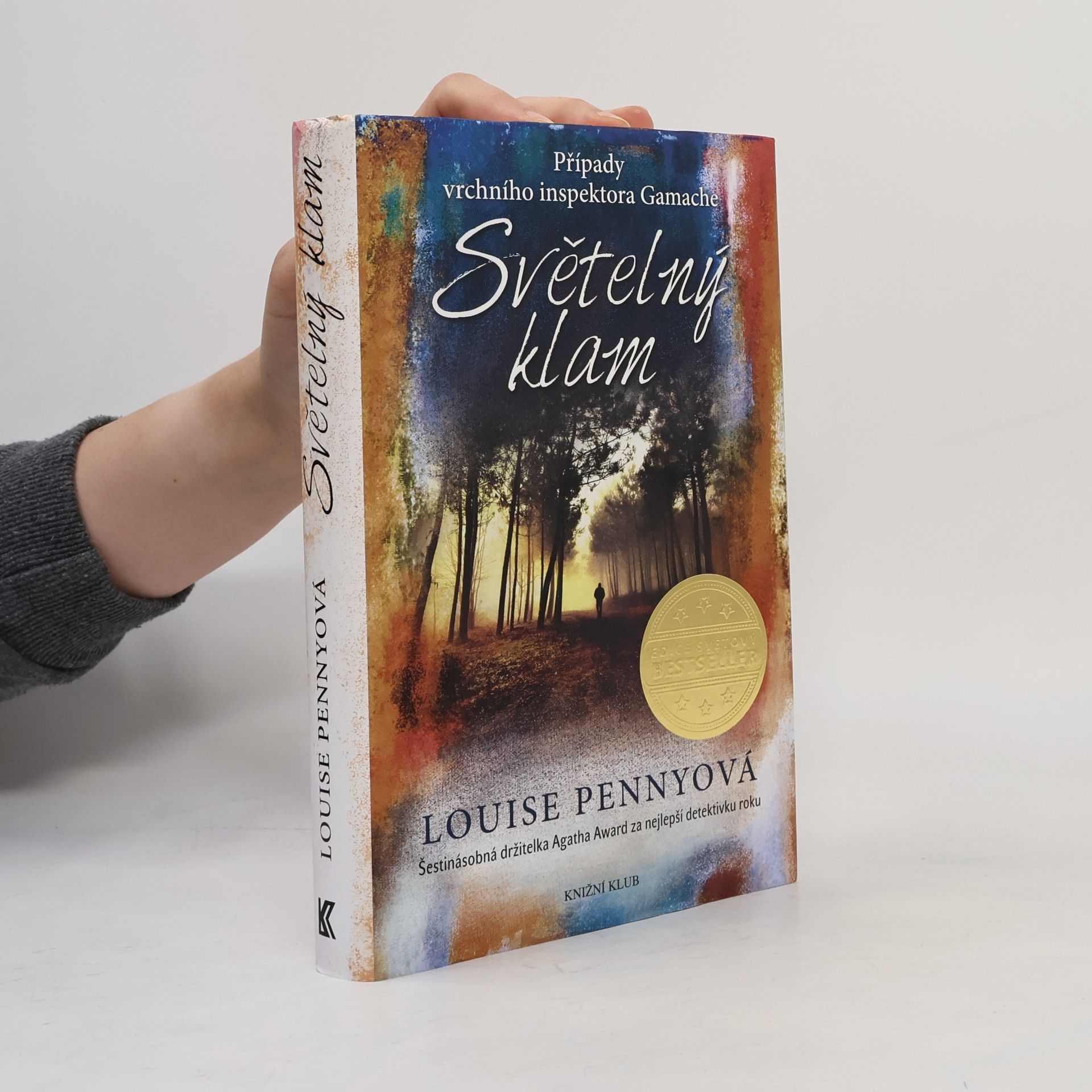 Louise Penny Světelný klam