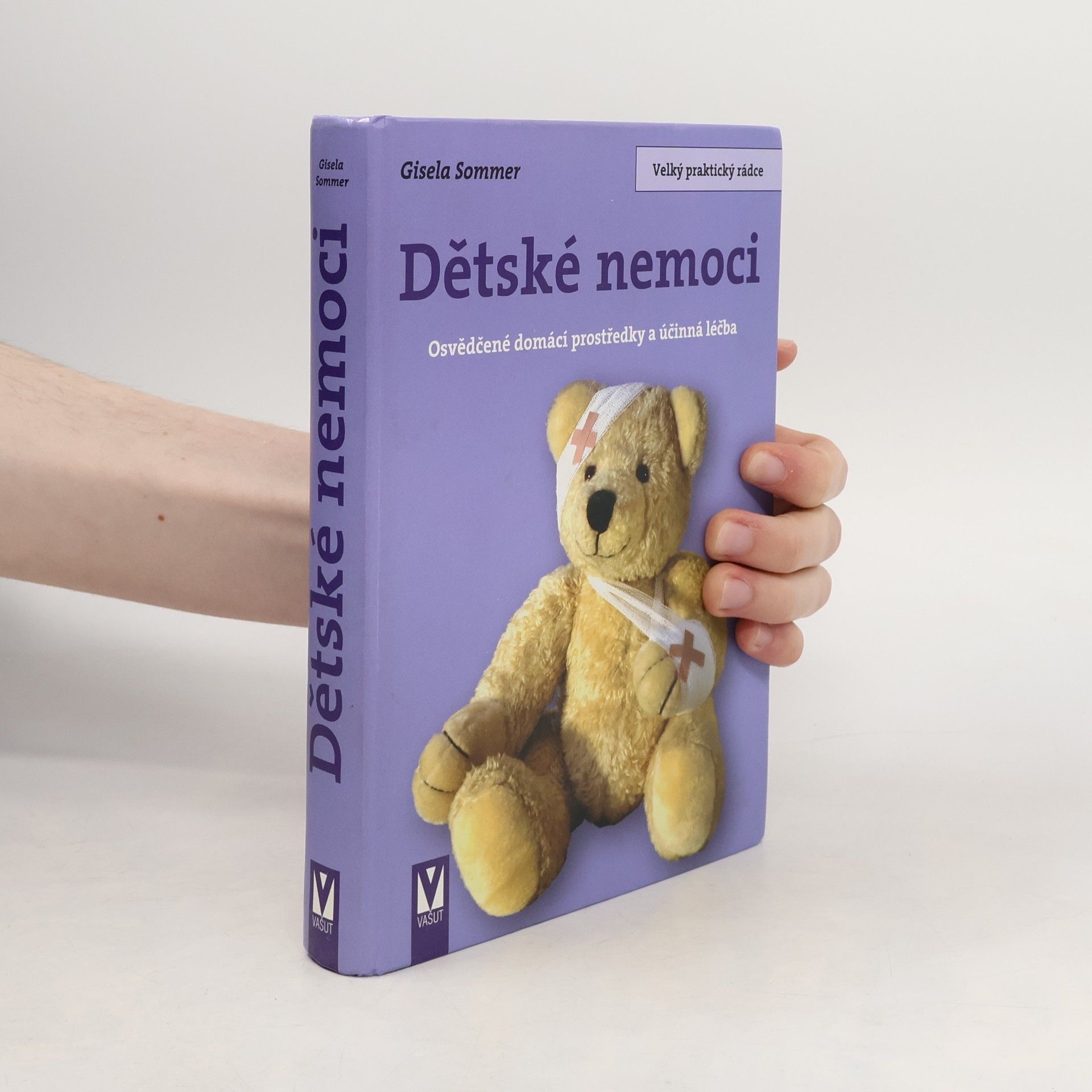 Gisela Sommer Dětské nemoci. Osvědčené domácí prostředky a účinná léčba