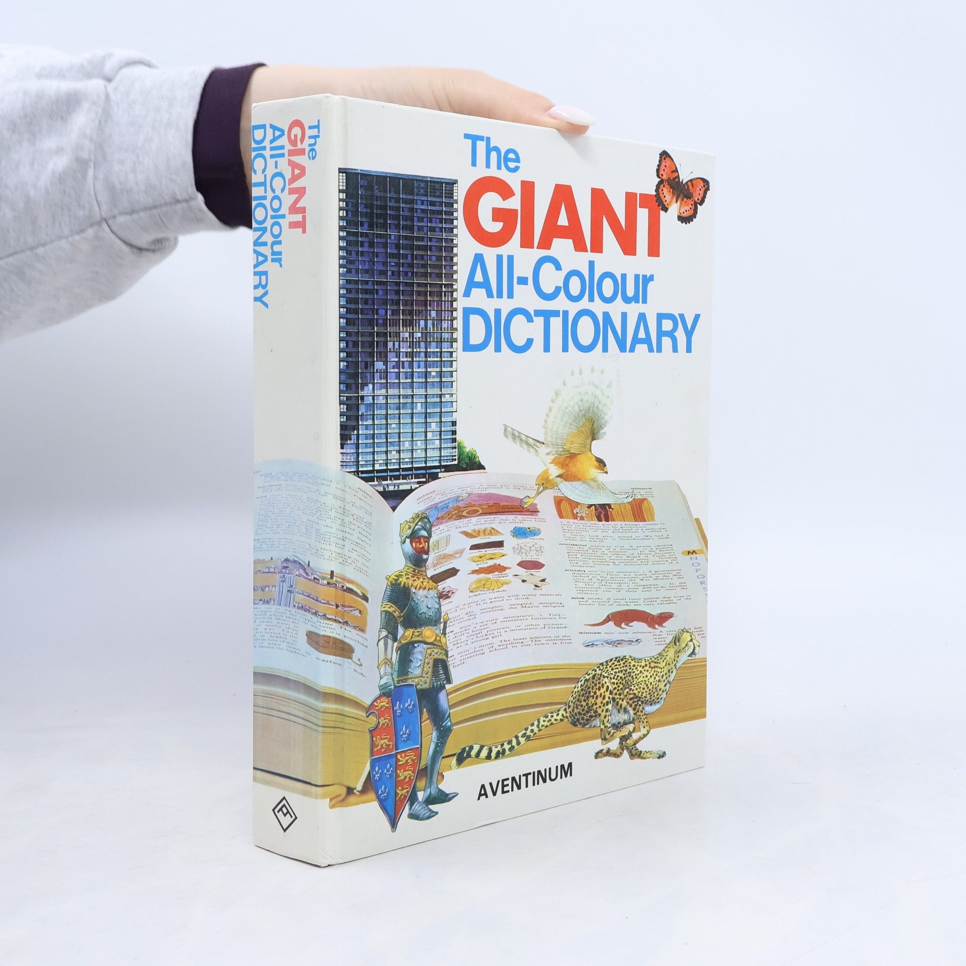 Stuart A. Courtis The Giant All-Colour Dictionary
