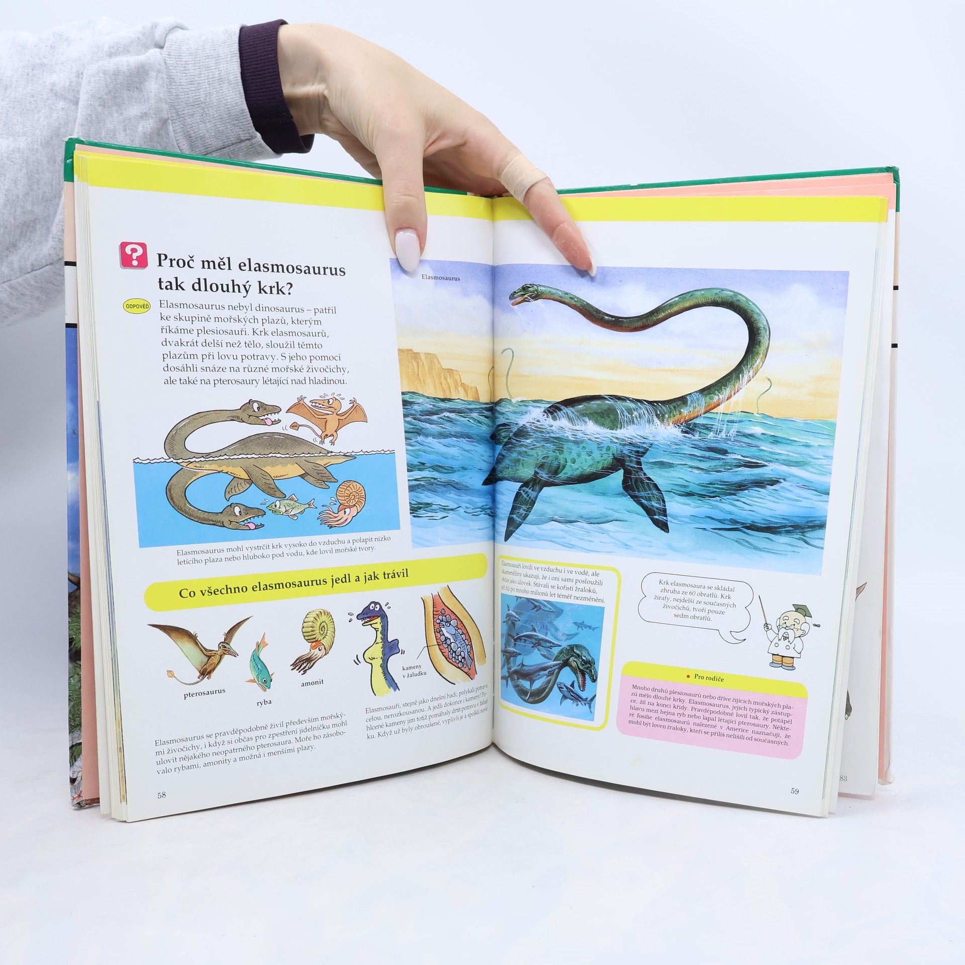 Collectif d'auteurs Dinosauři