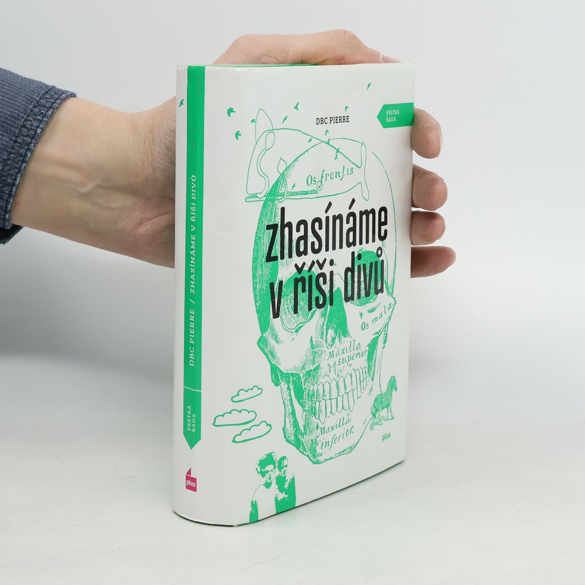 D. B. C. Pierre Zhasínáme v říši divů