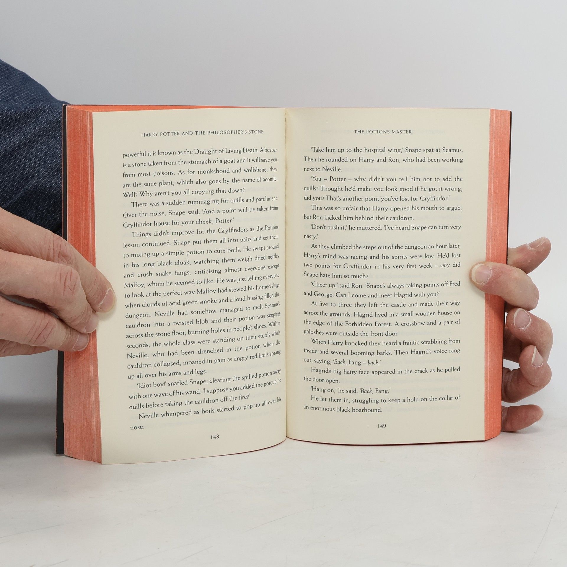 J. K. Rowling Harry Potter and the Philosopher's Stone