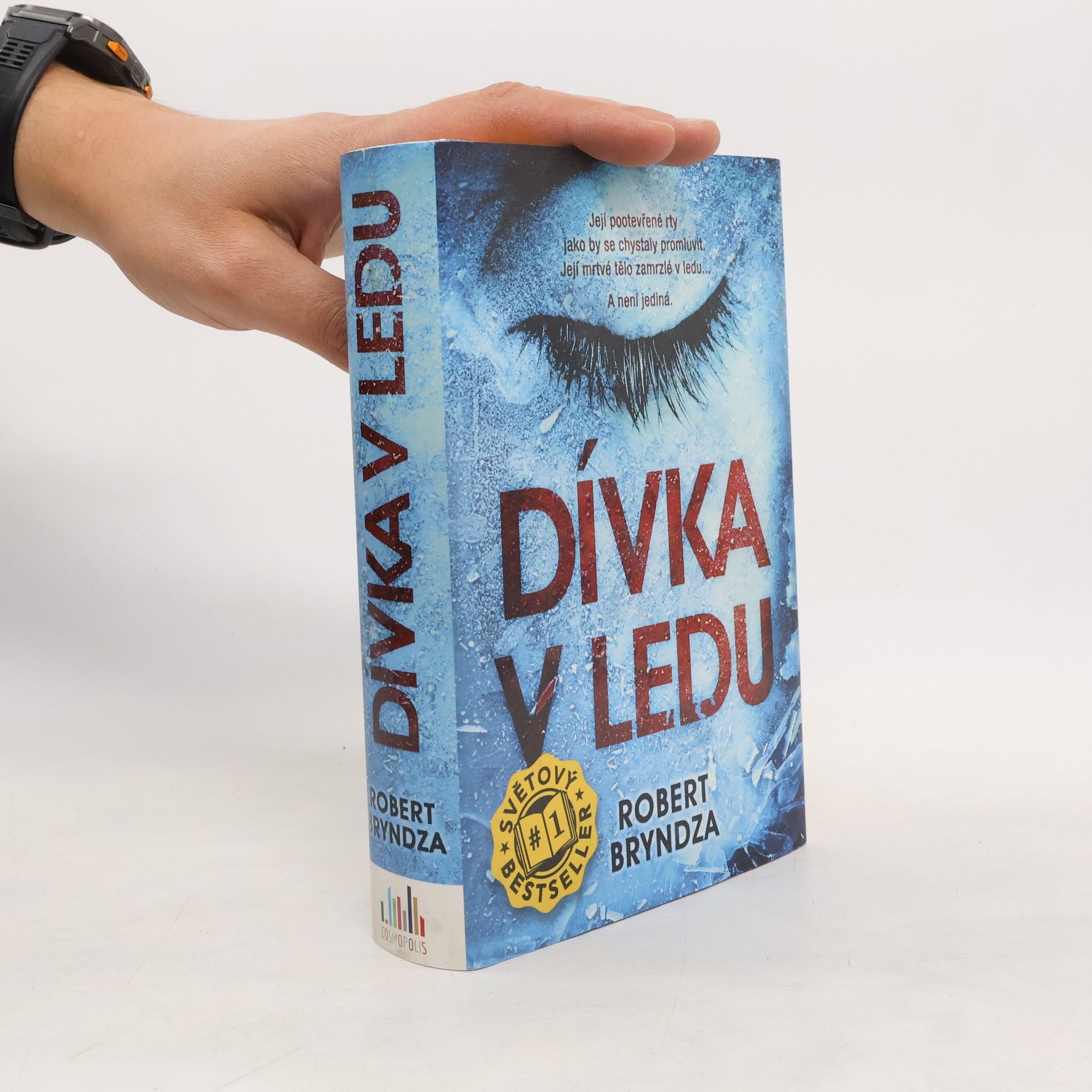 Robert Bryndza Dívka v ledu