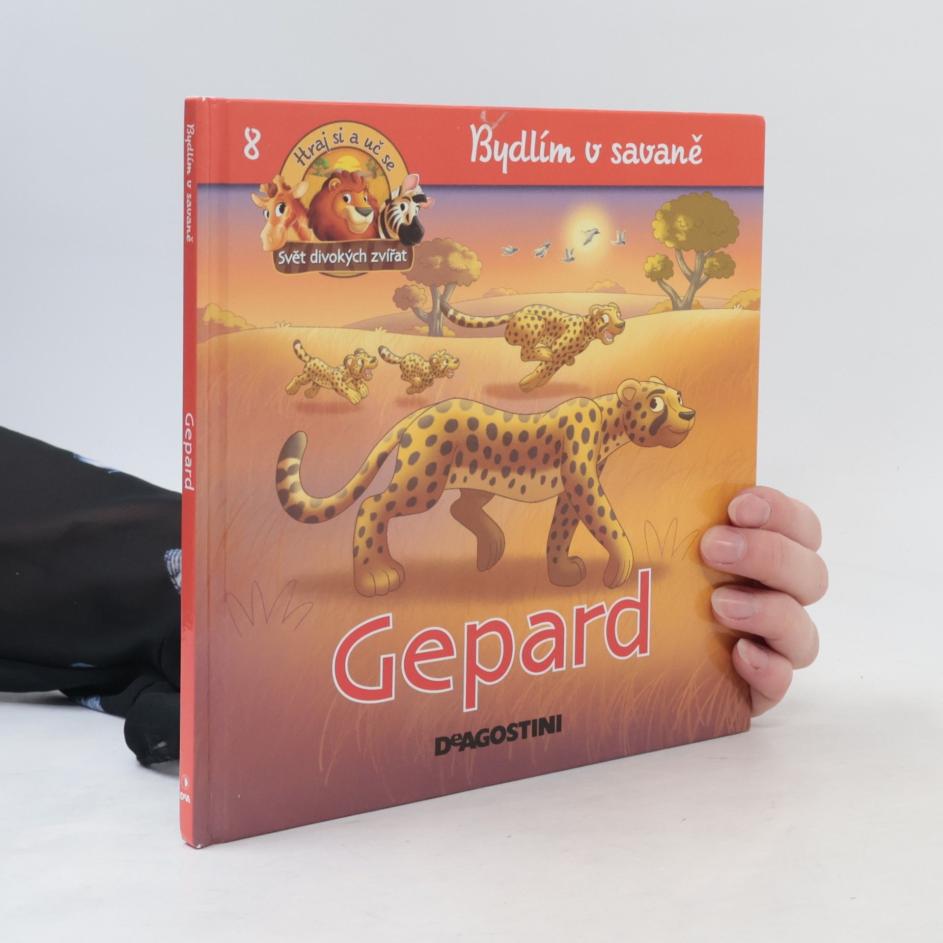 Hana Fasurová Bydlím v savaně 8. Gepard
