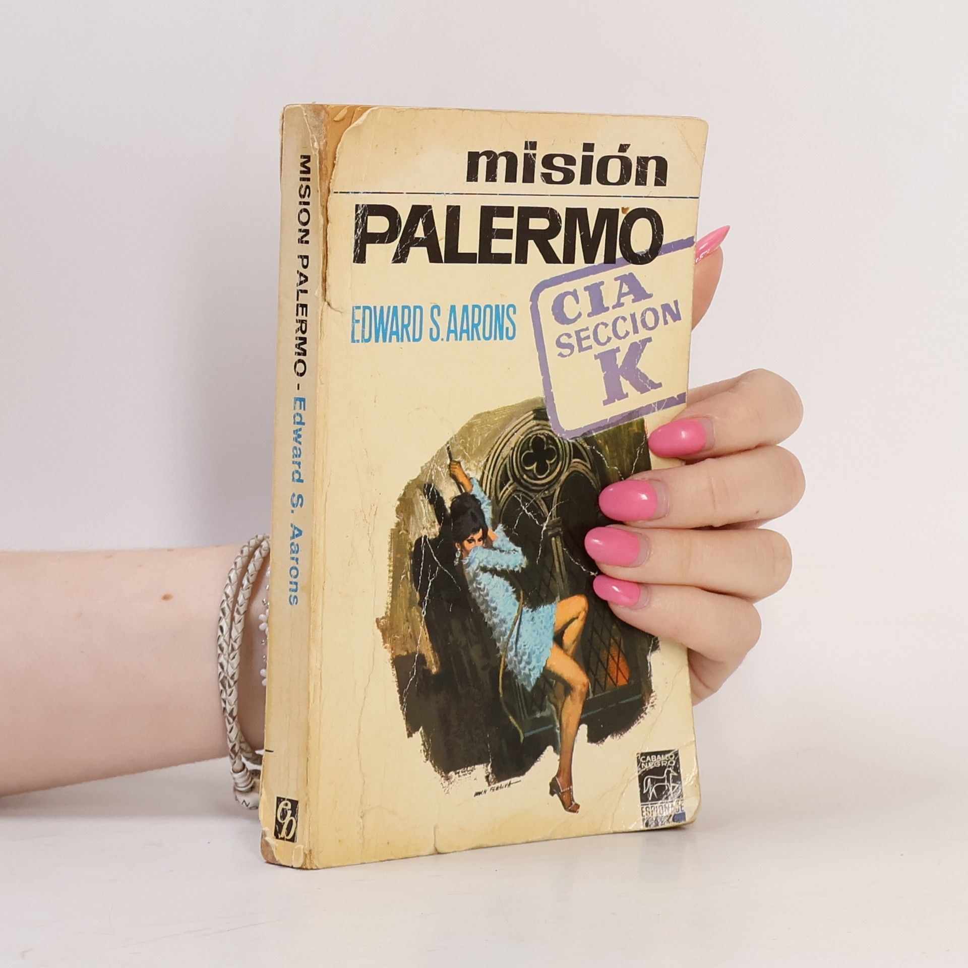 Aarons Edward S. Misión palermo