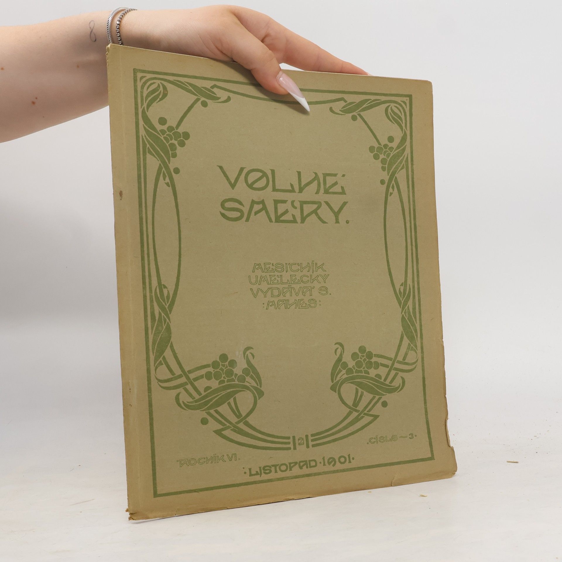 Autorenkollektiv Volné směry VI. Číslo 3