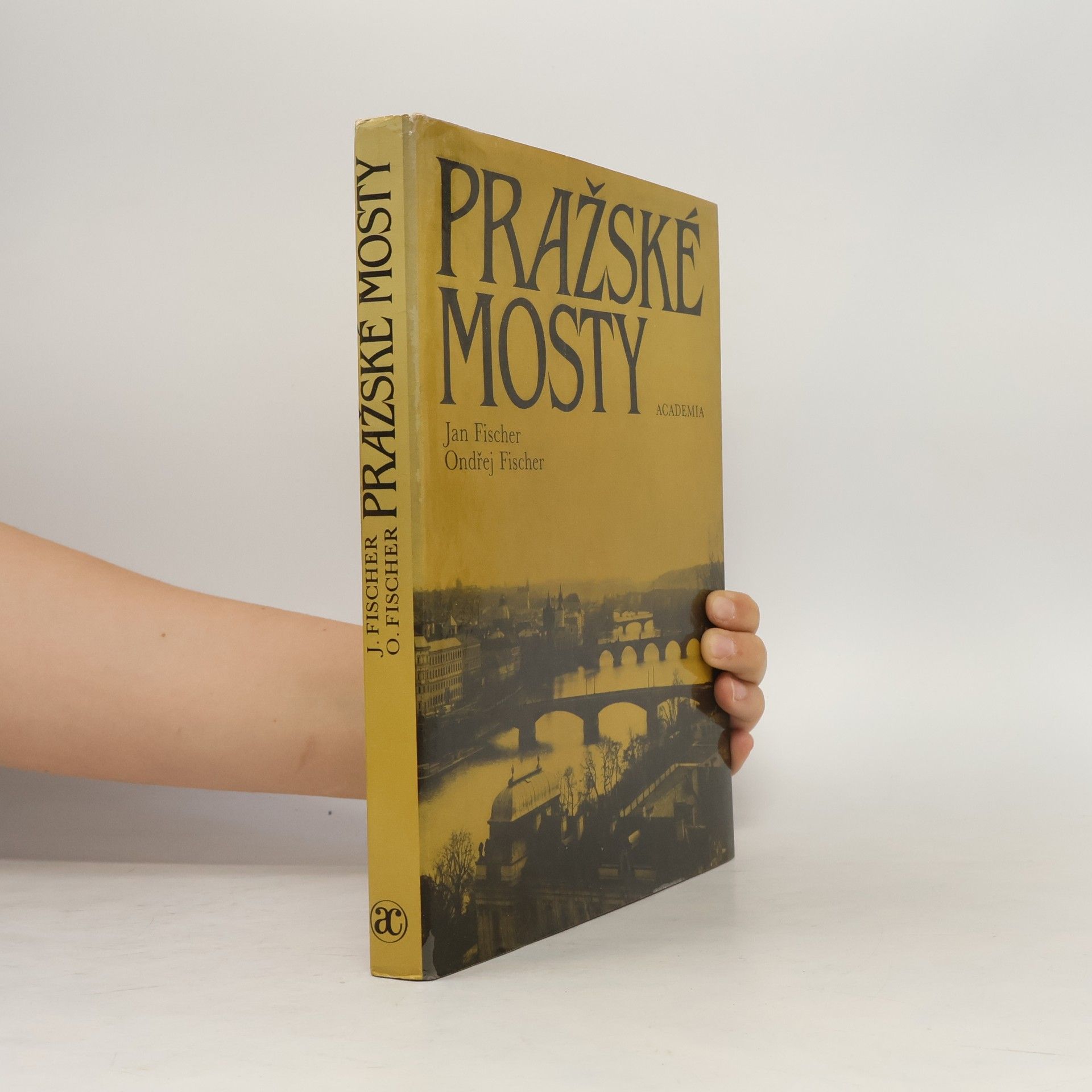 Ondřej Fischer Pražské mosty