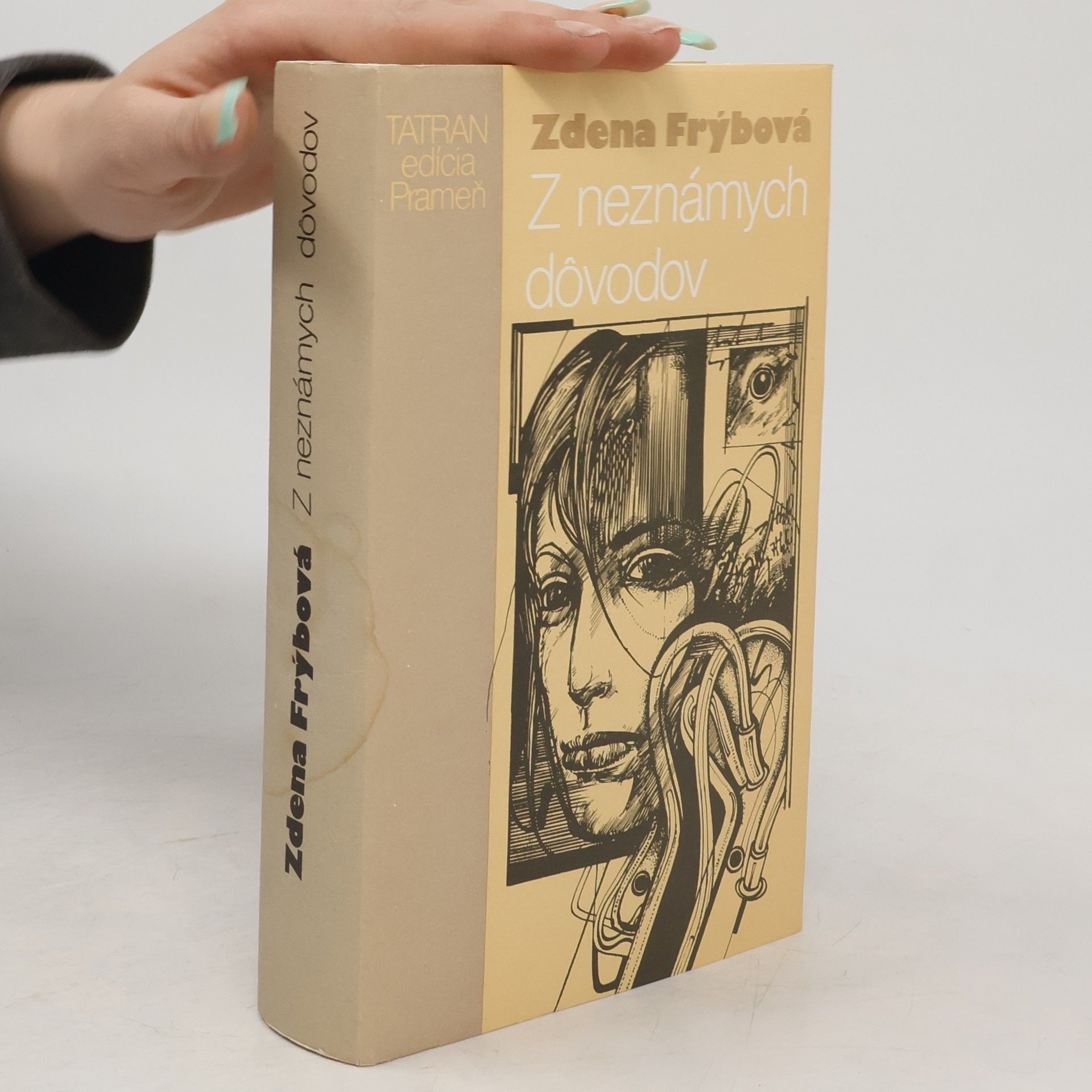 Zdena Frýbová Z neznámych dôvodov