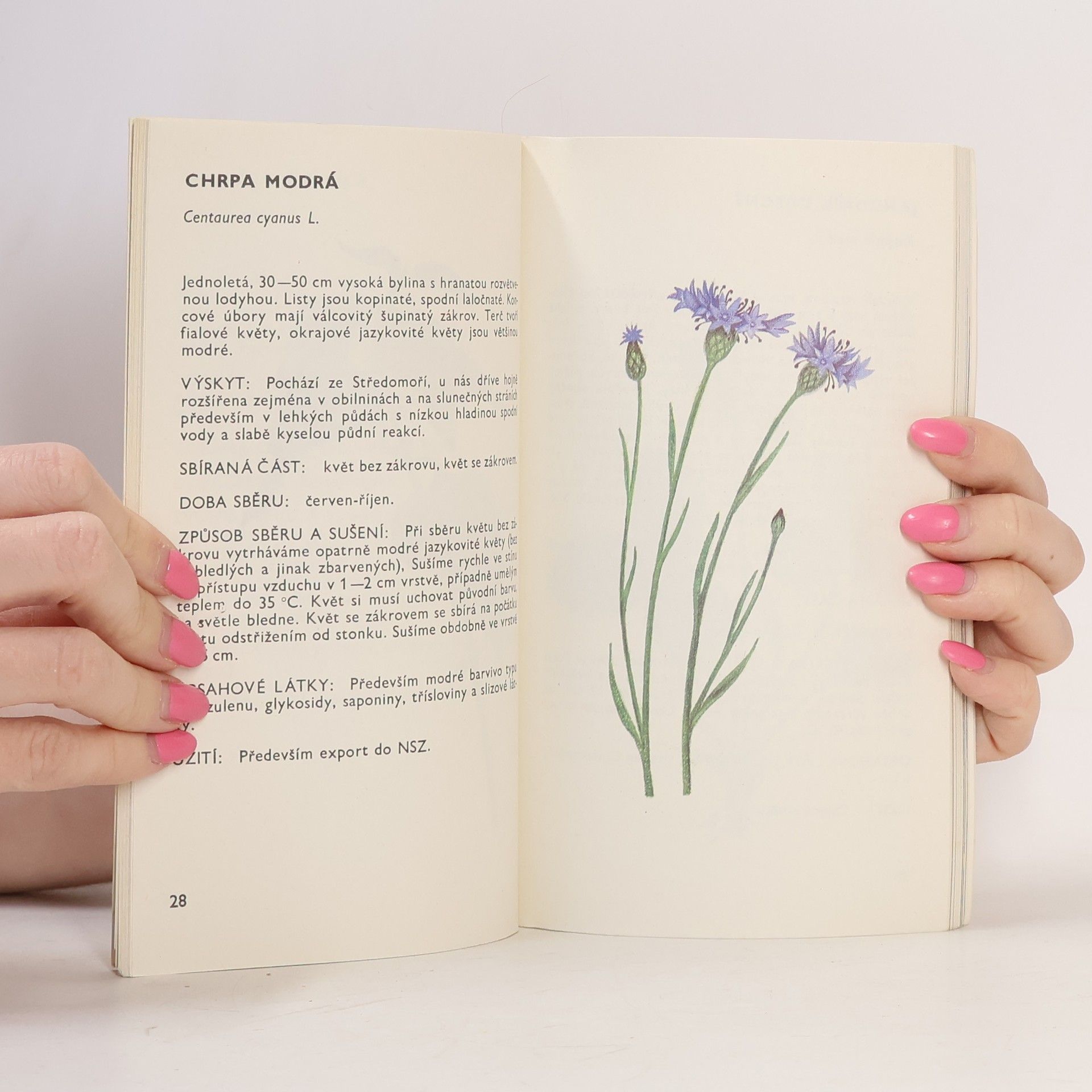 Ludmila Černá Malý herbář léčivých rostlin