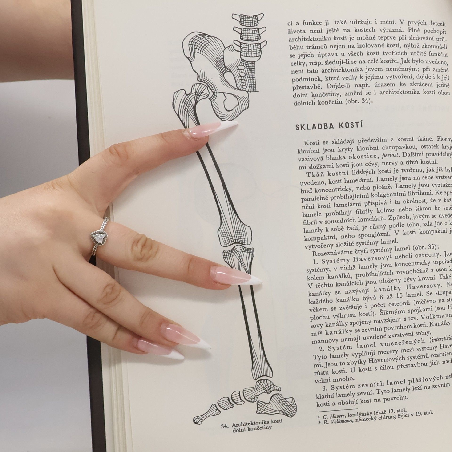 Jaroslav Fleischmann Anatomie člověka I. díl