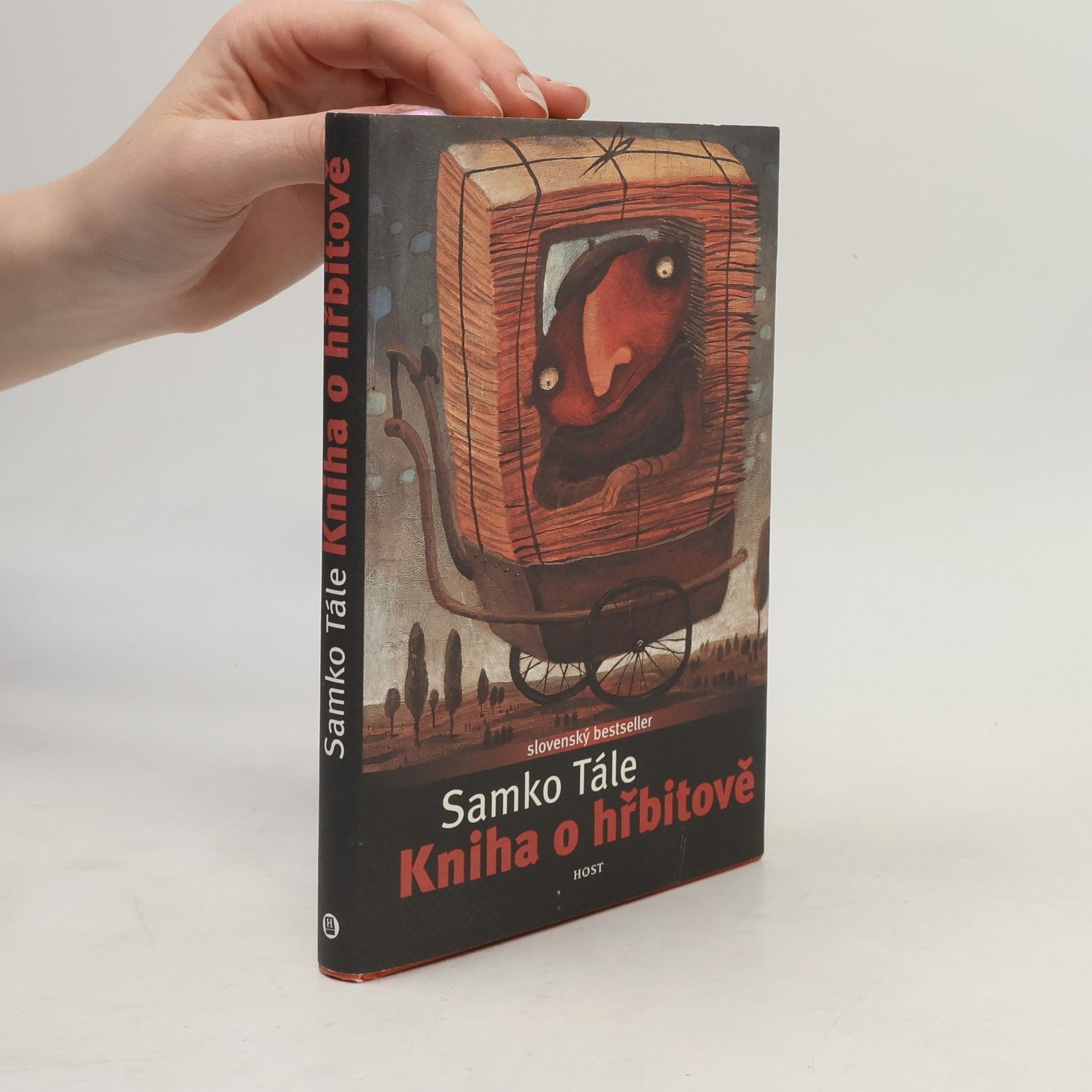 Daniela Kapitáňová Kniha o hřbitově