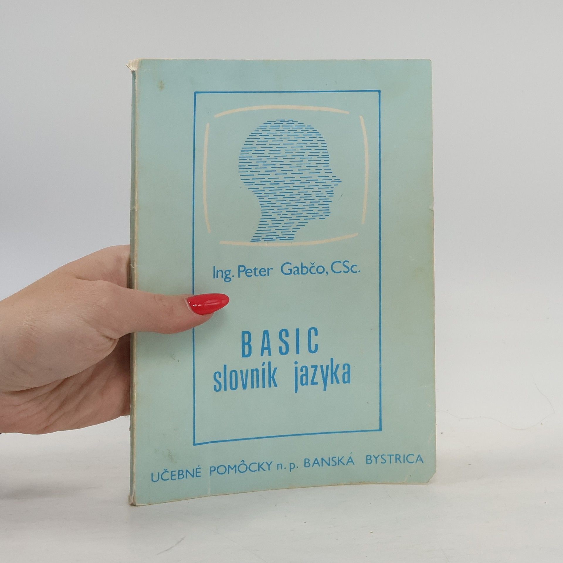 Peter Gabčo Basic, slovník jazyka