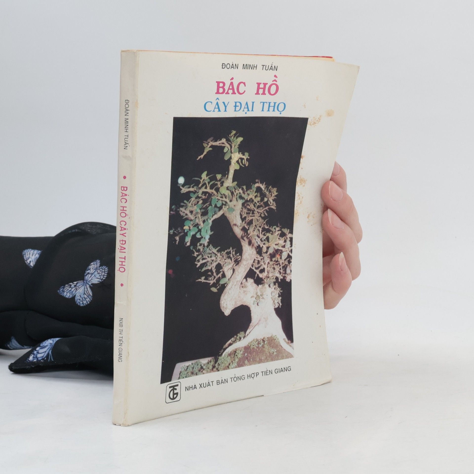 Đoàn Minh Tuấn Bác Hồ Cây Đại Thọ
