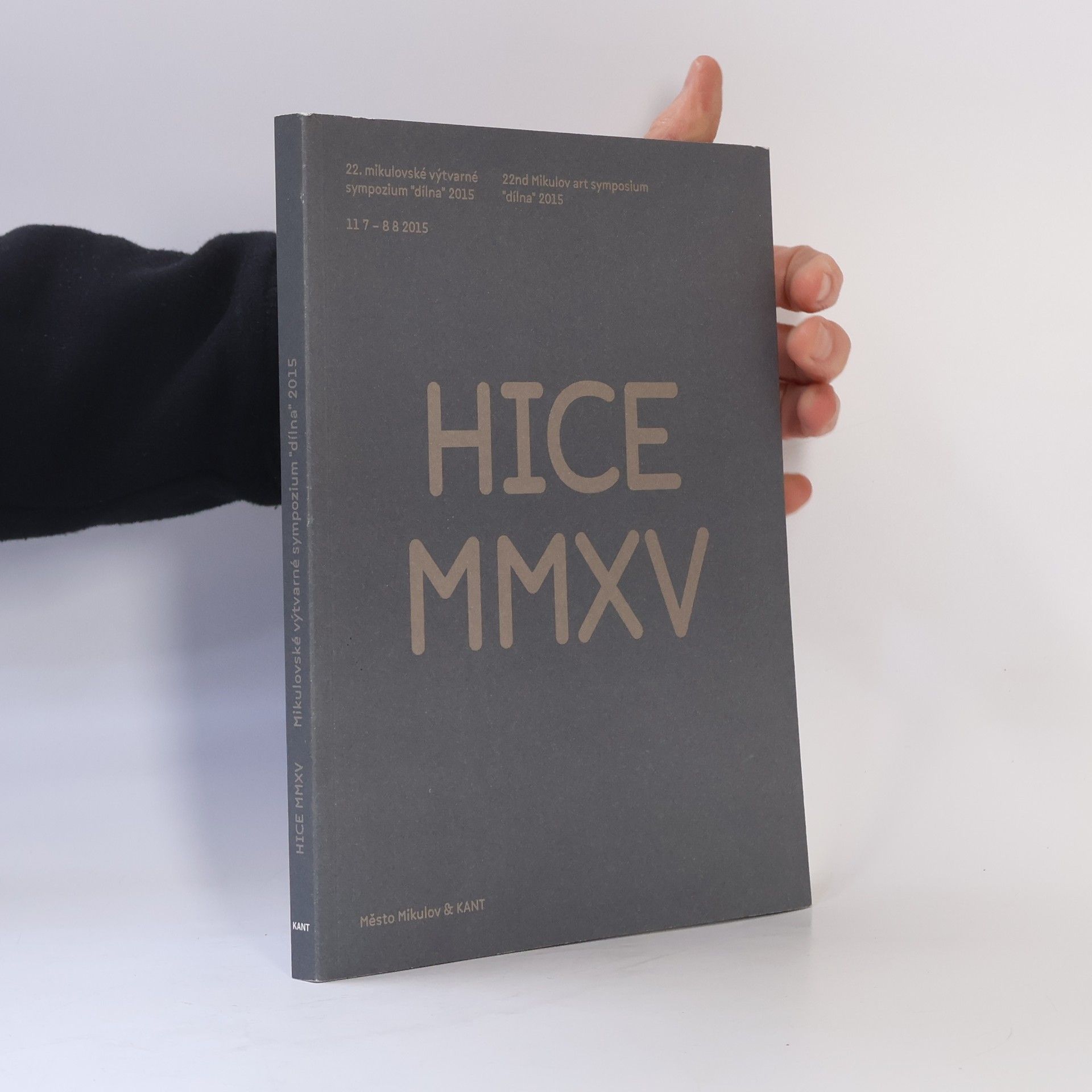 Mikulovské výtvarné sympozium "dílna" - 22: Hice MMXV