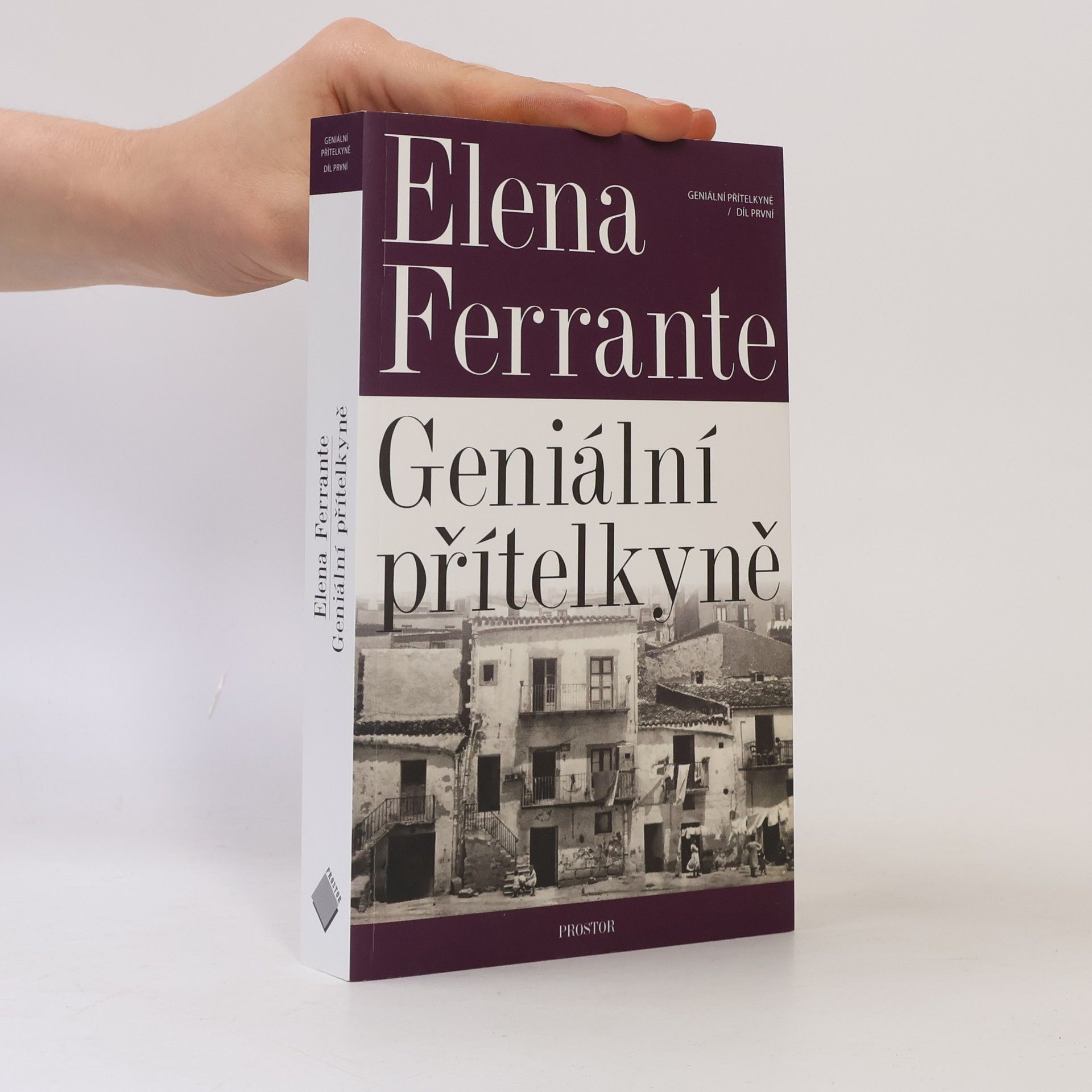 Elena Ferrante Geniální přítelkyně 1. Dětství a dospívání
