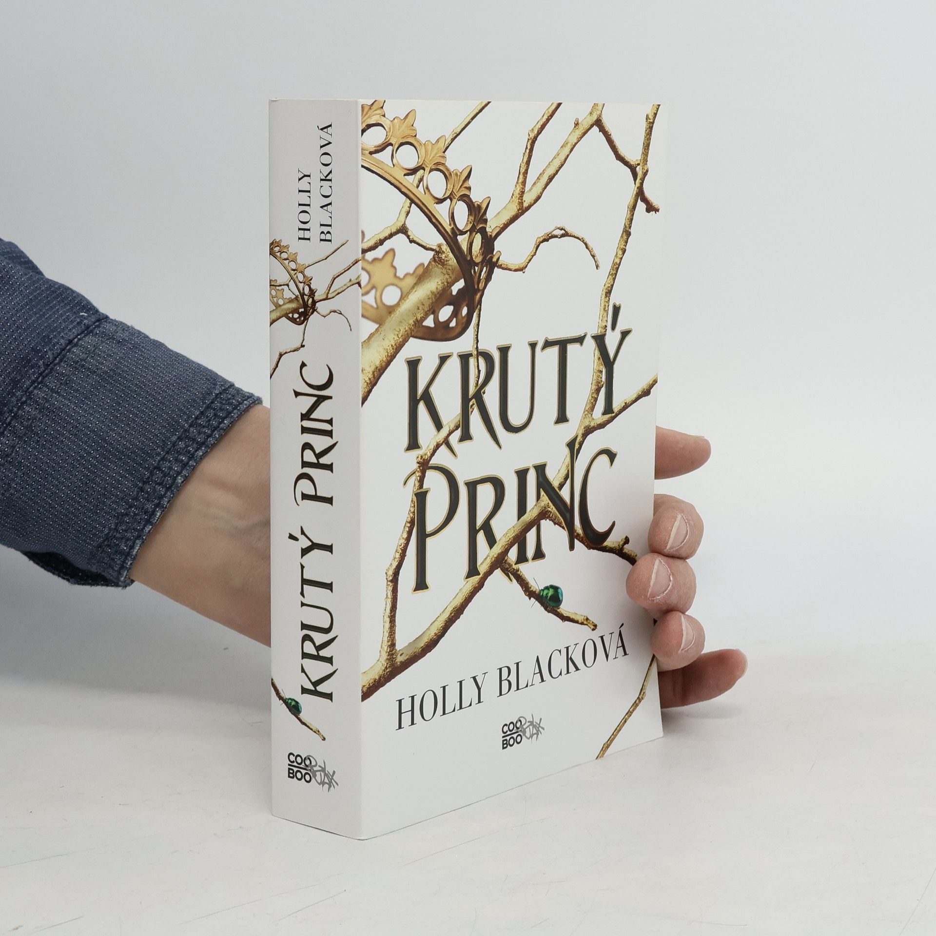 Holly Black Krutý princ