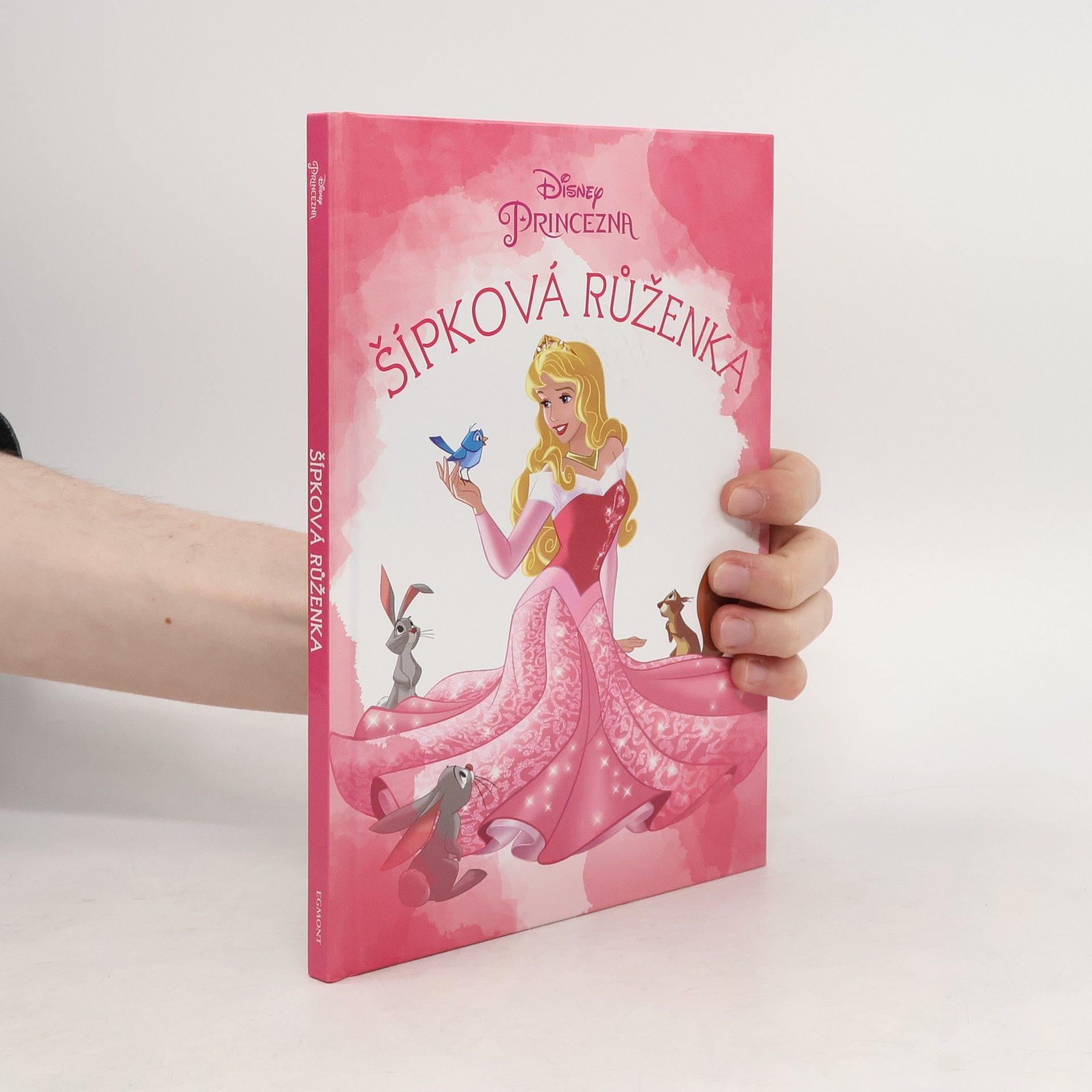 Disney Storybook Artists Šípková Růženka