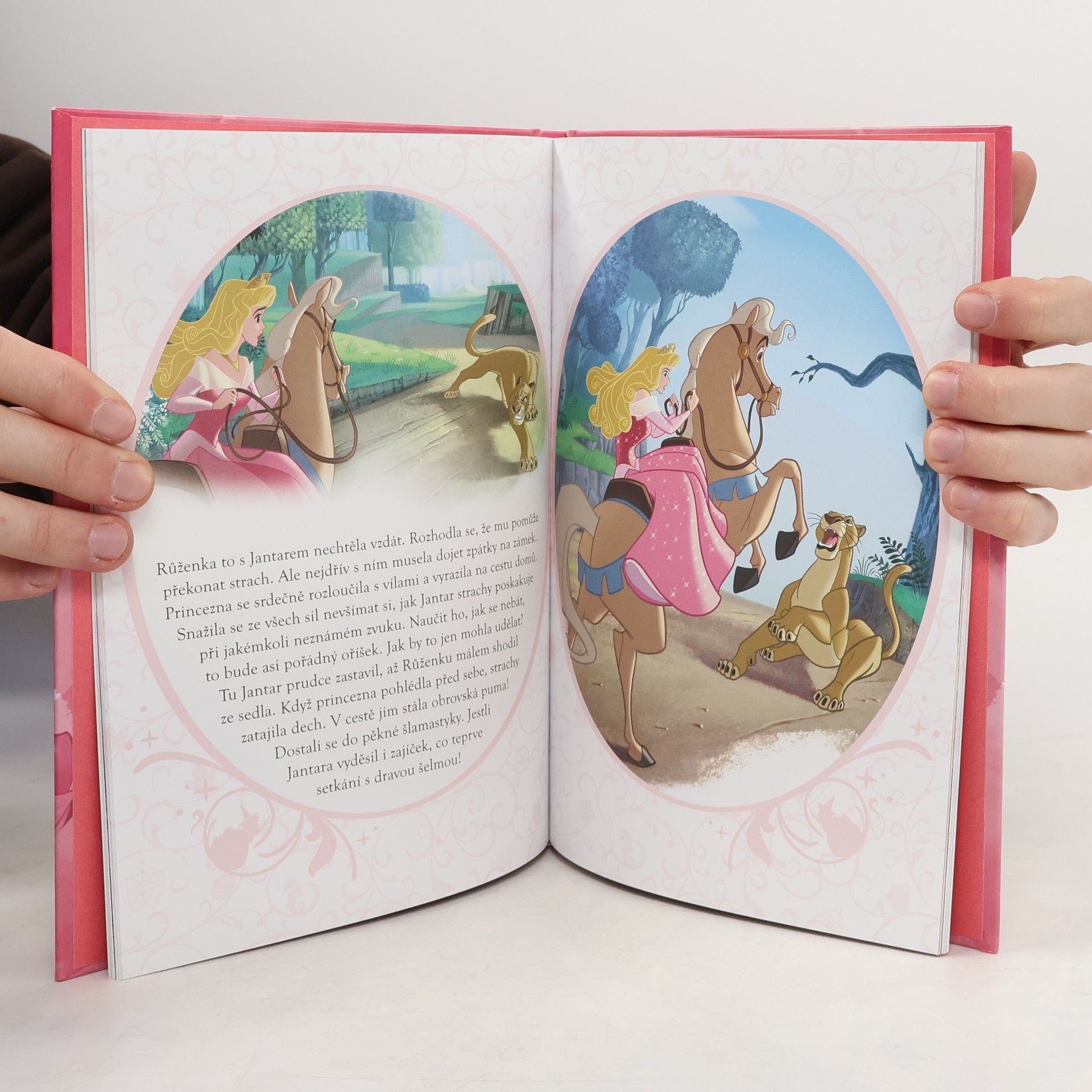 Disney Storybook Artists Šípková Růženka