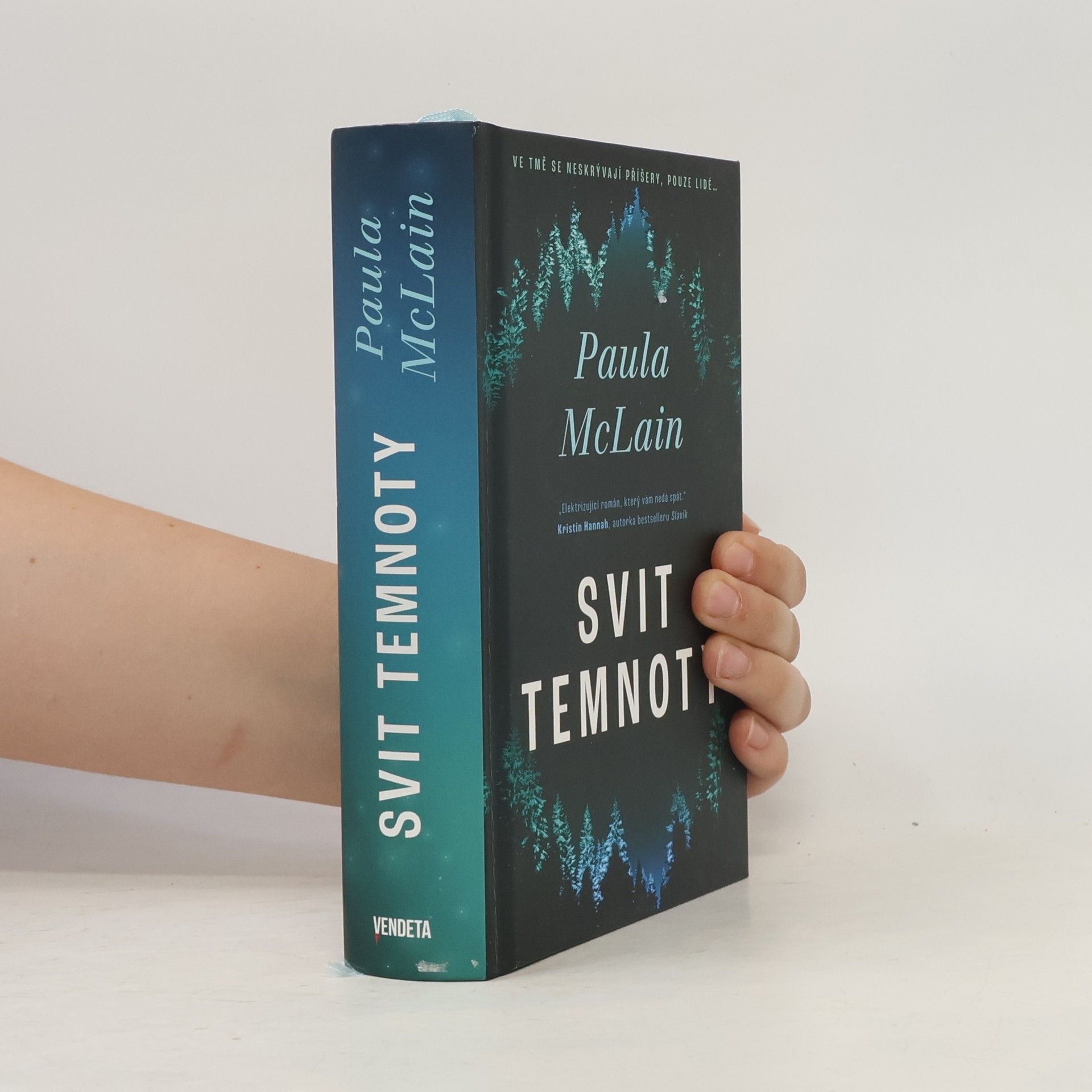 Paula McLain Svit temnoty