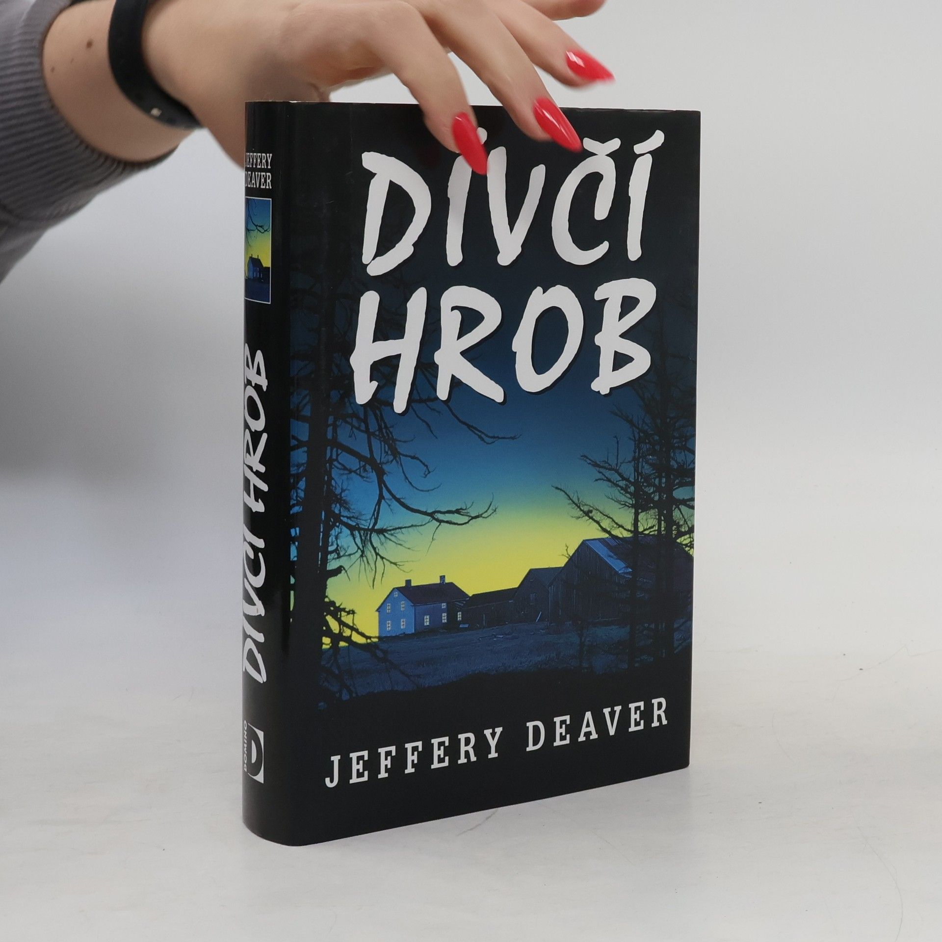 Jeffery Deaver Dívčí hrob