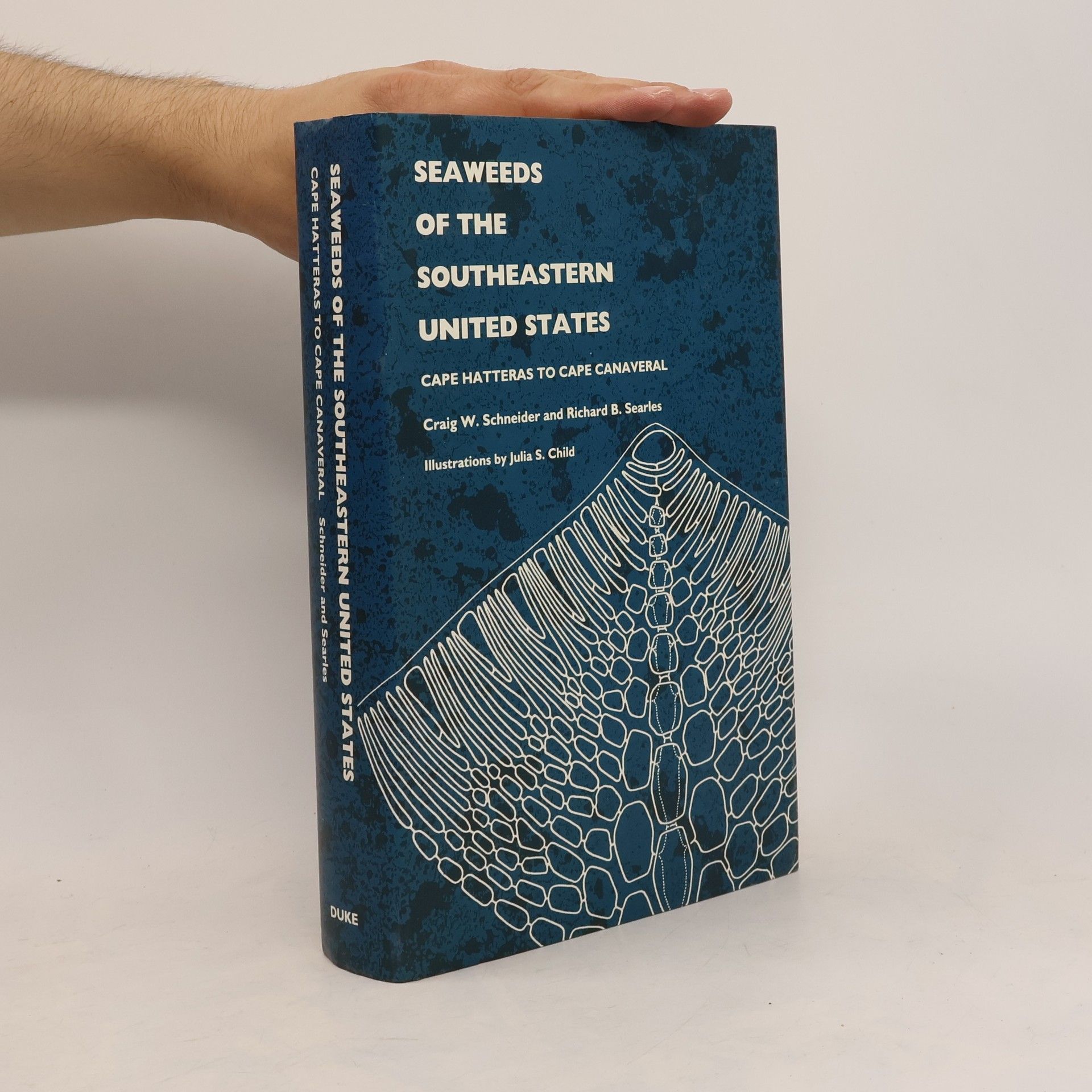 Julia S. Child Seaweeds of the Southeastern United States
