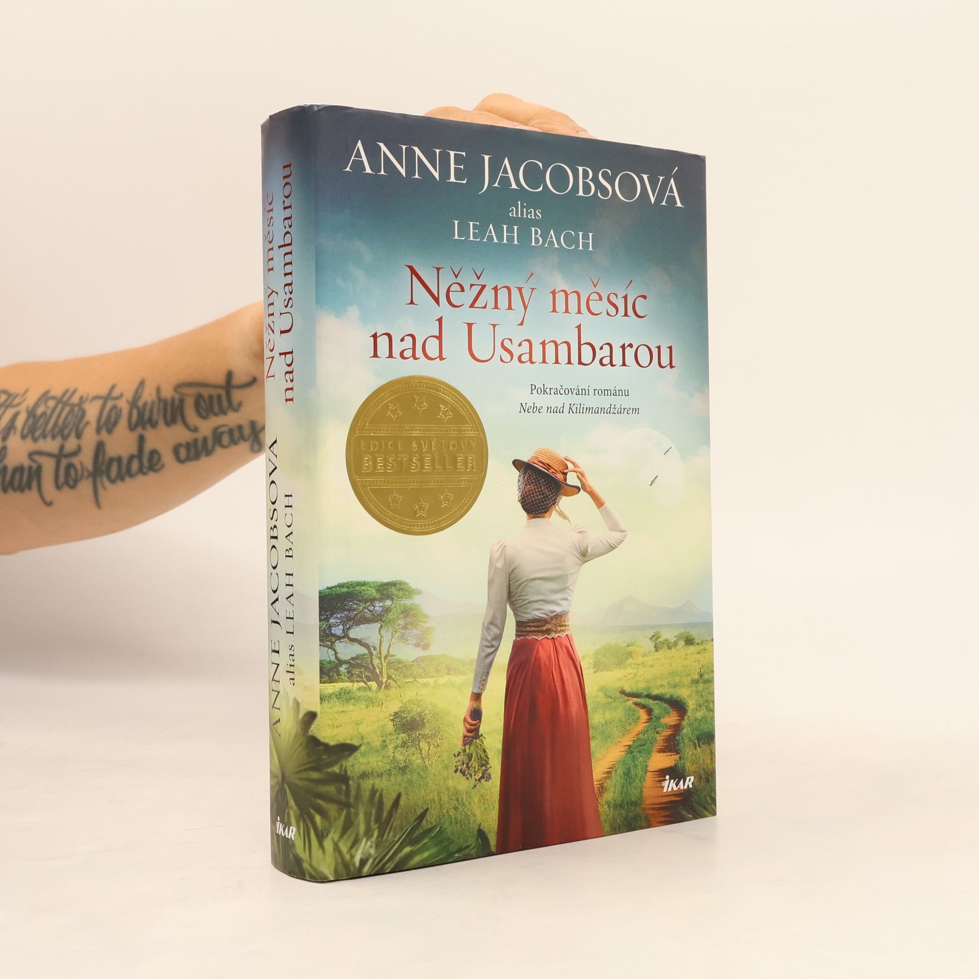 Anne Jacobs Něžný měsíc nad Usambarou