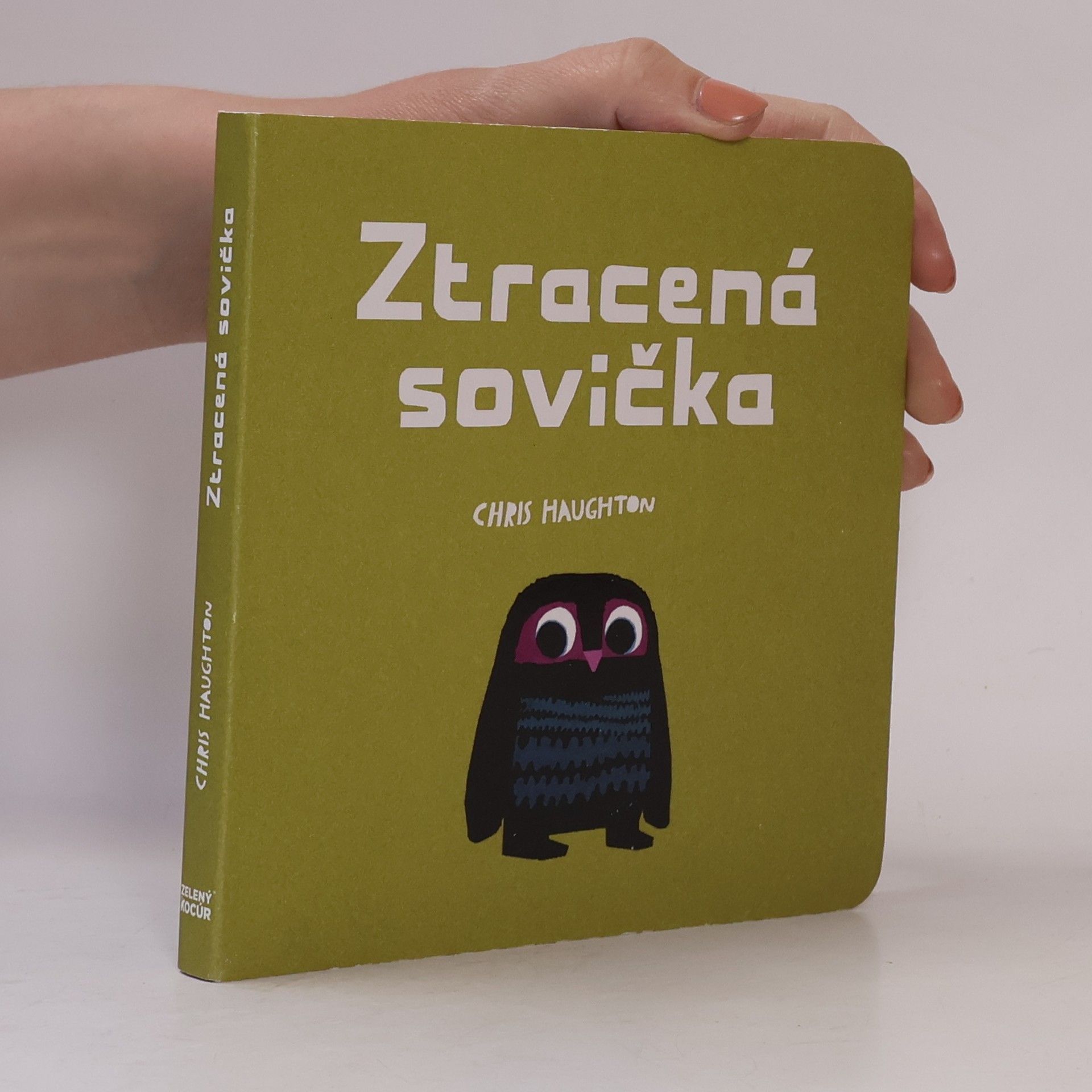 Chris Haughton Ztracená sovička