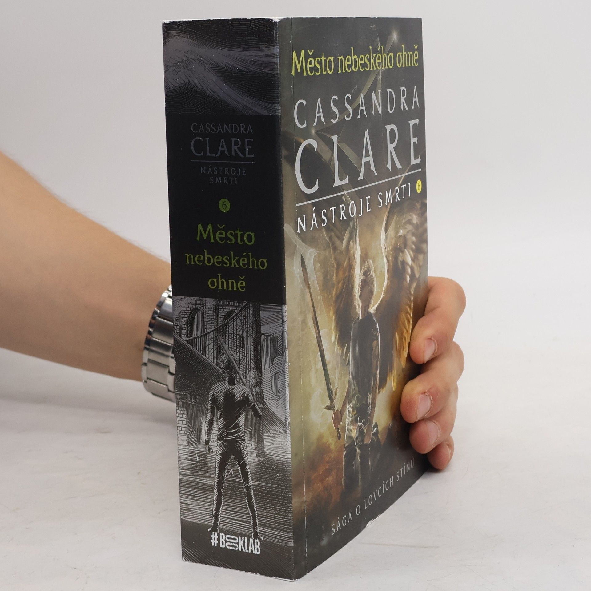 Cassandra Clare Nástroje smrti 6: Město nebeského ohně