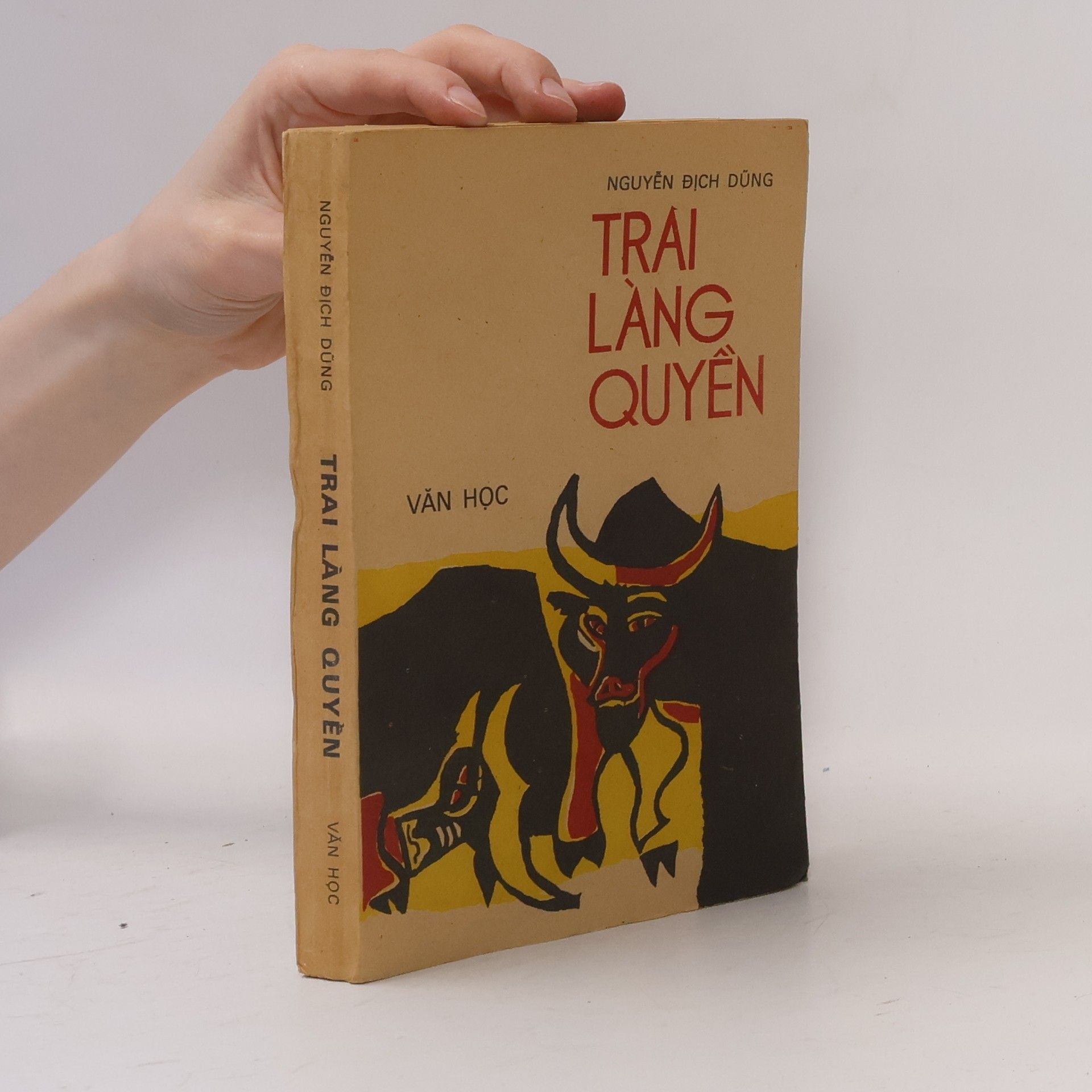 Nguyễn Bích Dũng Trai Làng Quyền