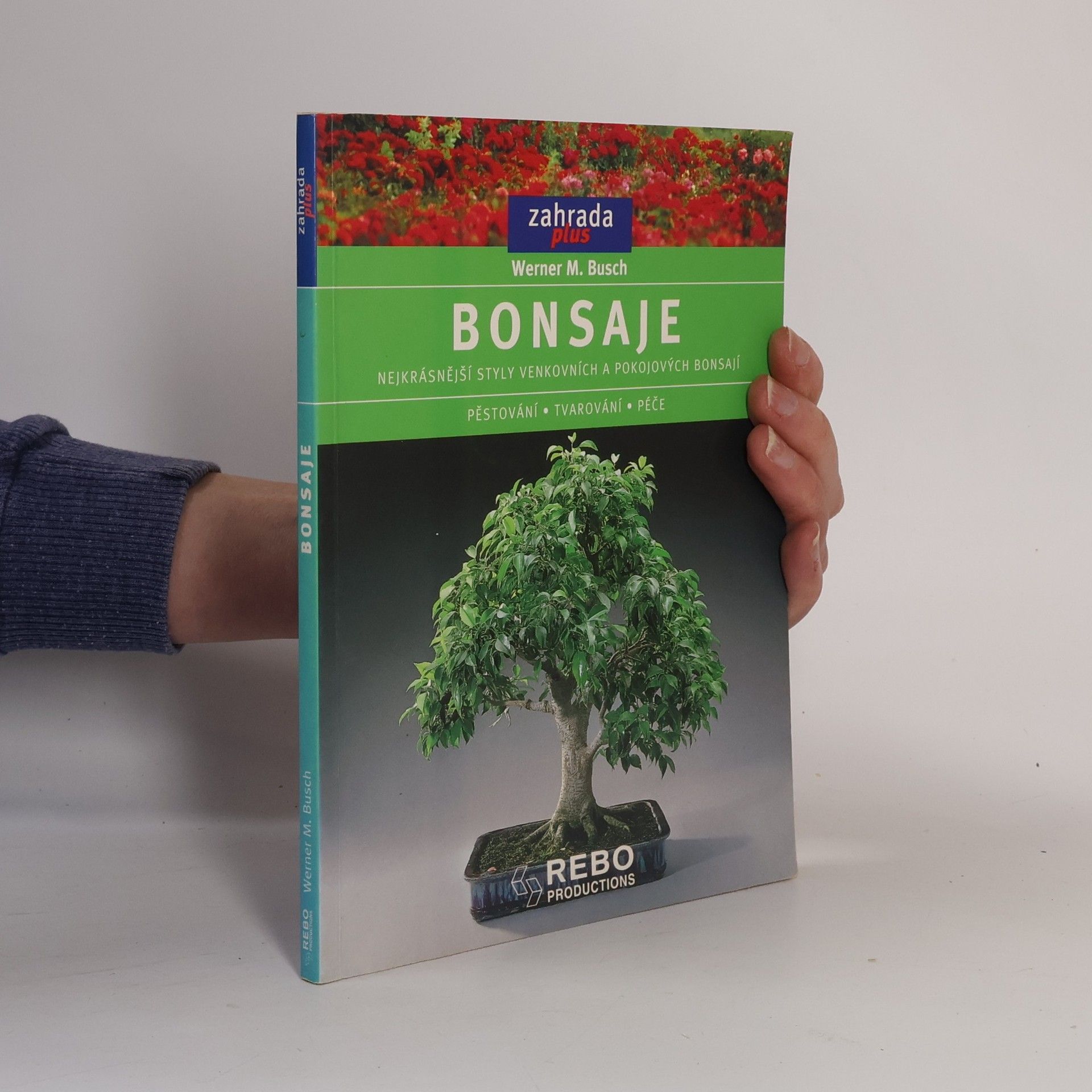 Werner M. Busch Bonsaje: Nejkrásnější styly venkovních a pokojových bonsají : pěstování, tvarování, péče