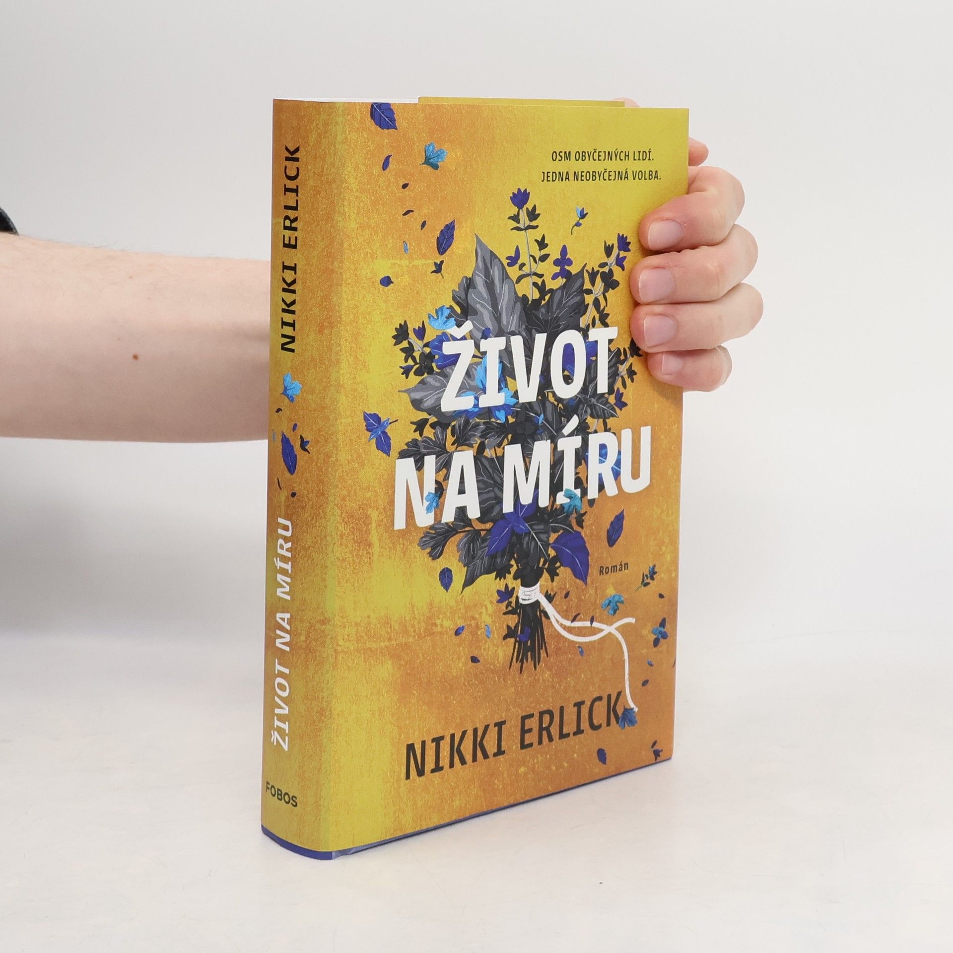 Nikki Erlick Život na míru