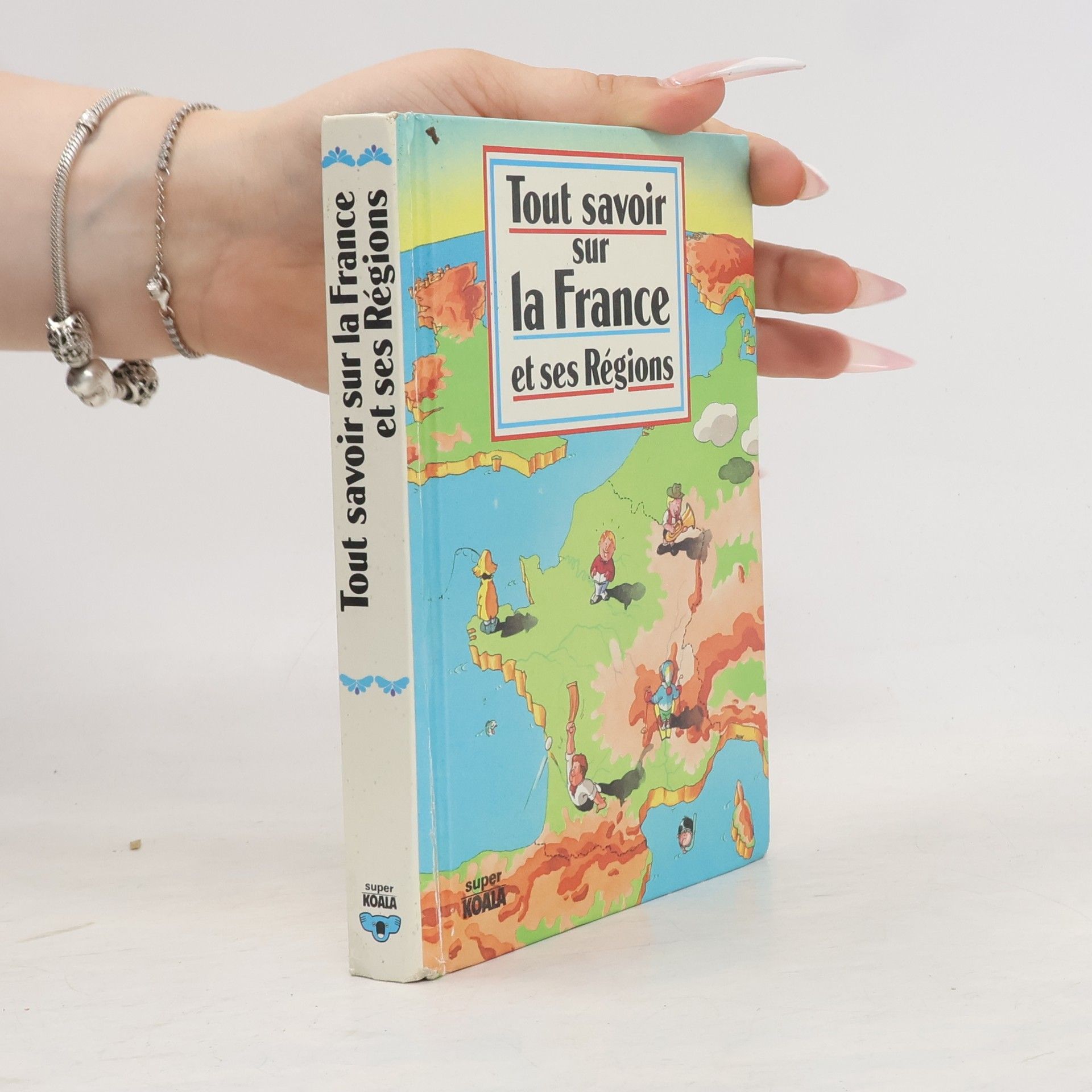 Collectif d'auteurs Tout savoir sur la France et ses Régions