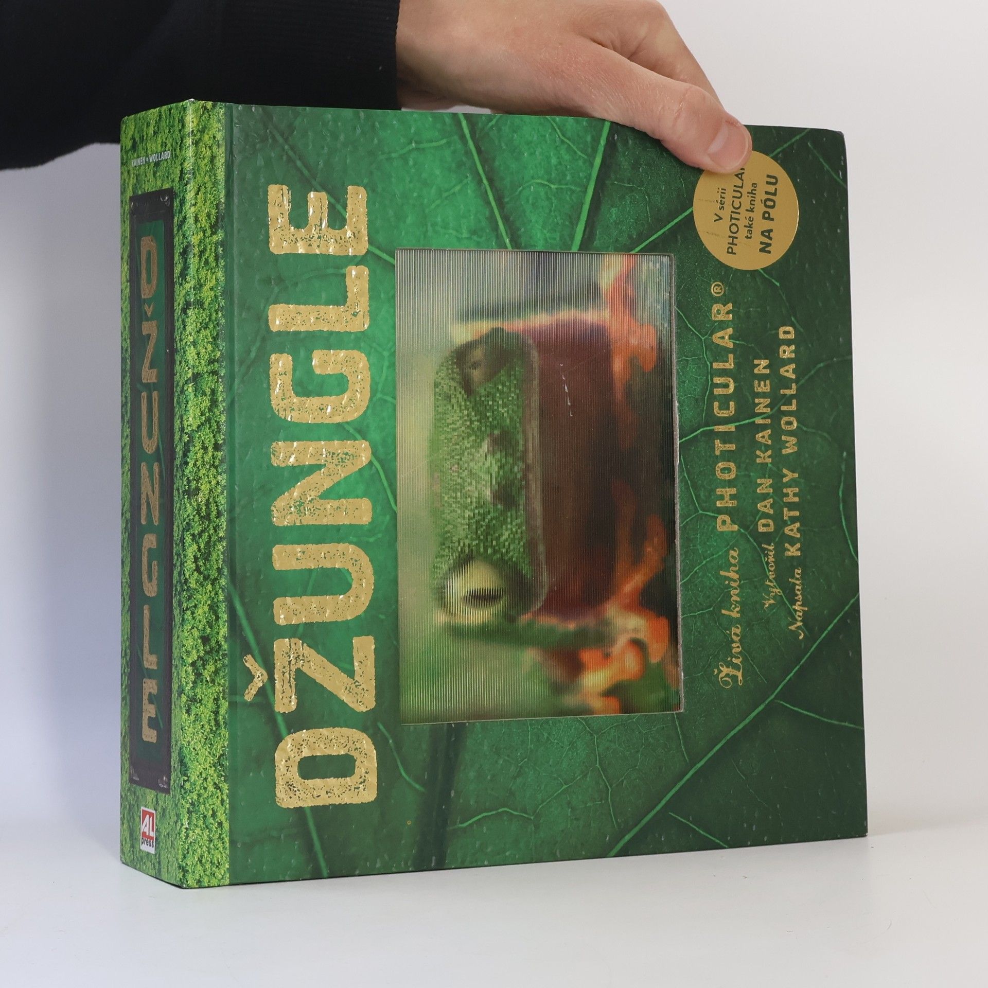 Dan Kainen Džungle