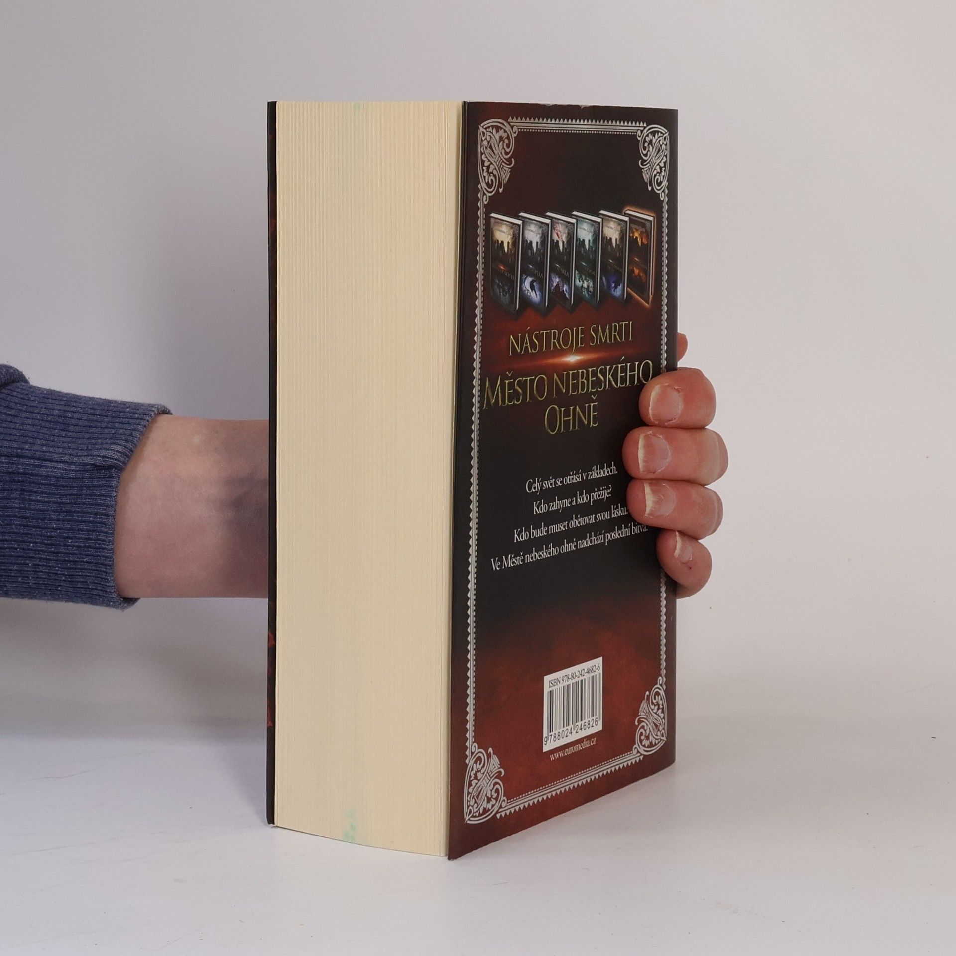 Cassandra Clare Nástroje smrti 6: Město nebeského ohně
