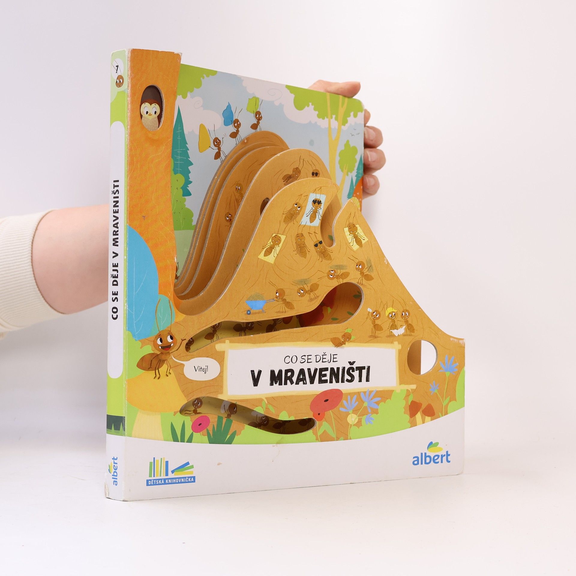 Various authors Co se děje v mraveništi