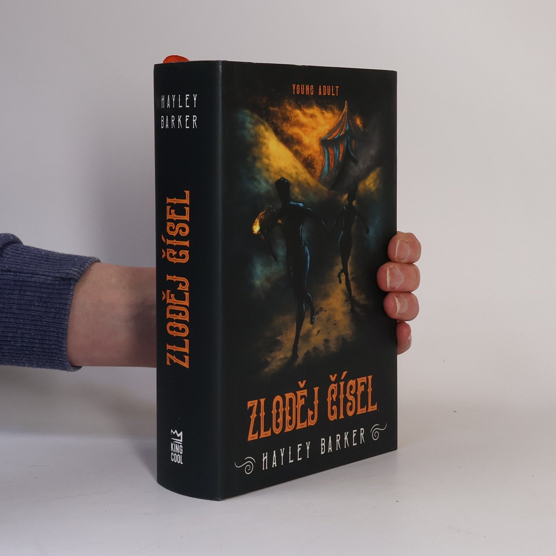 Hayley Barker Zloděj čísel
